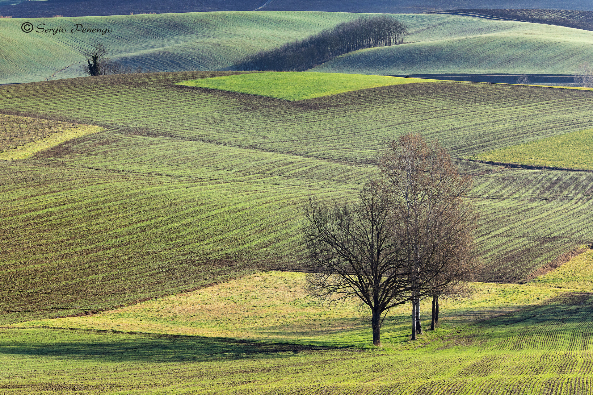 Landscape of the Monferrato 2