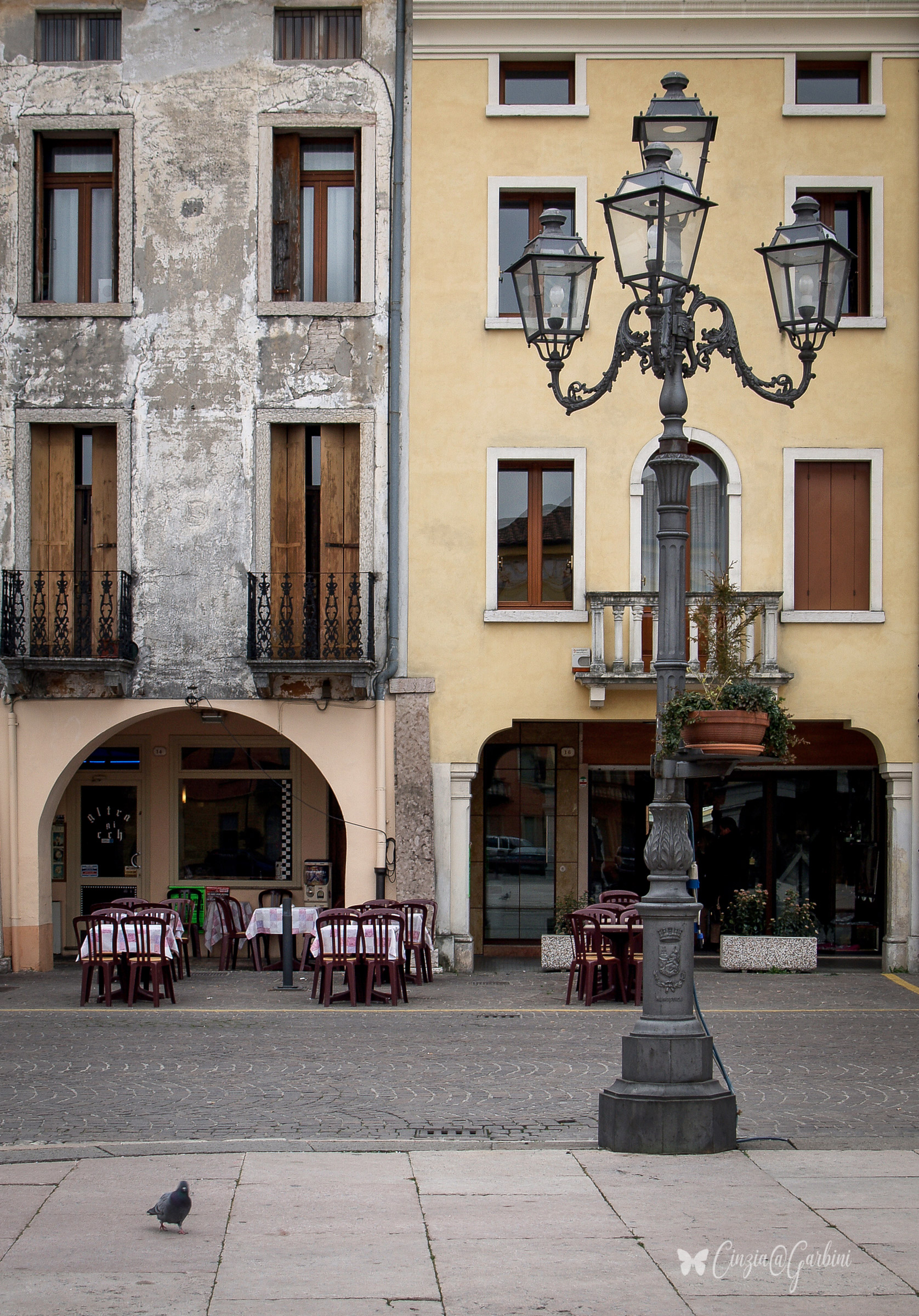 Nobody... except the pigeon