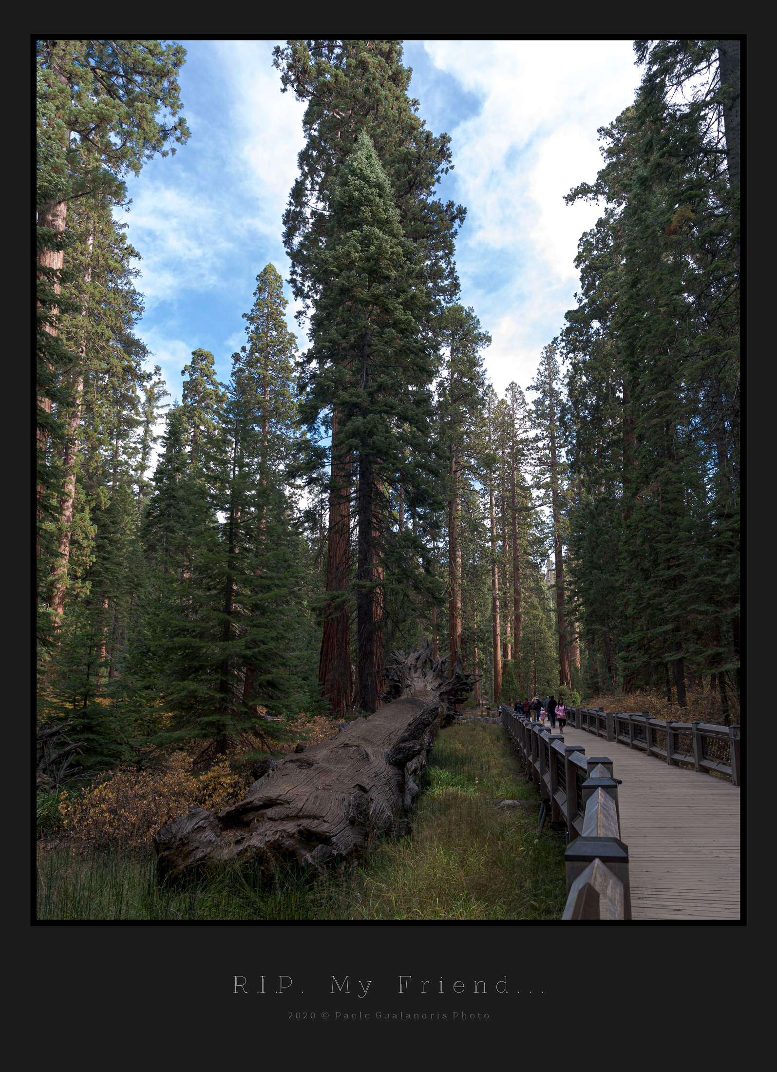 r.i.p. My Friend...