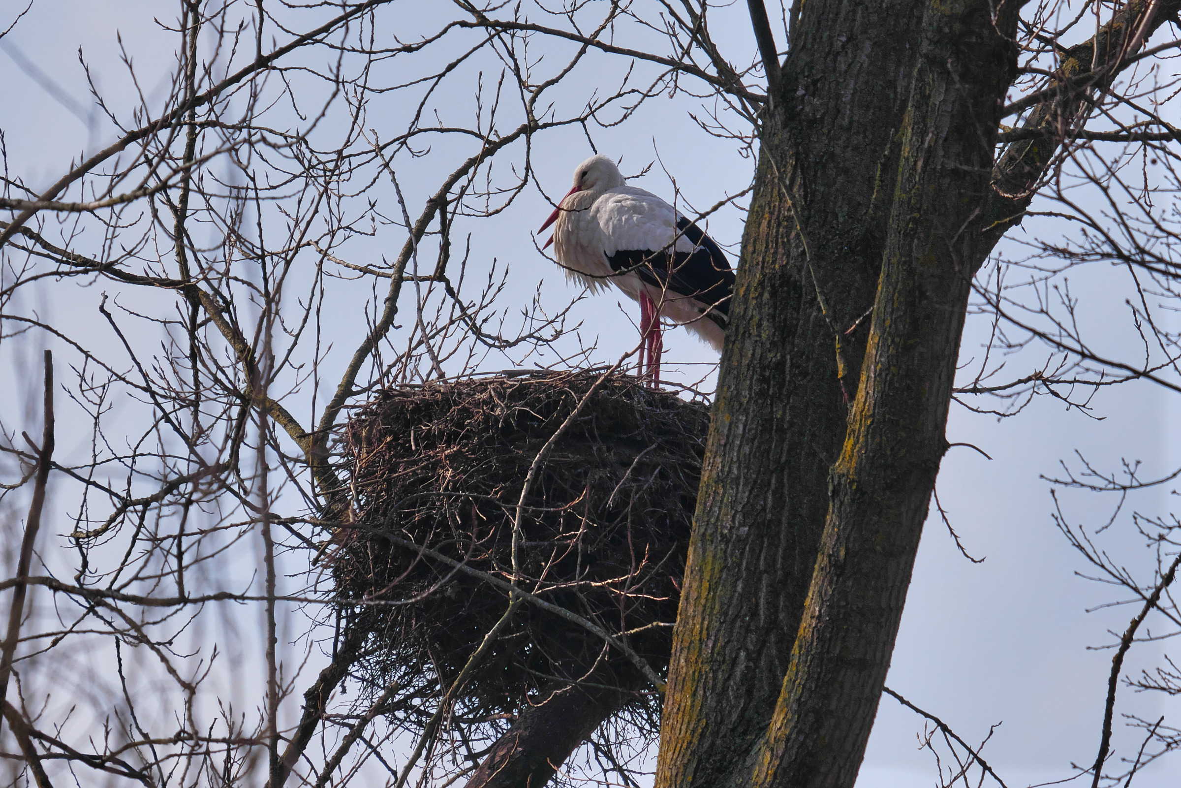 It's time to go home...