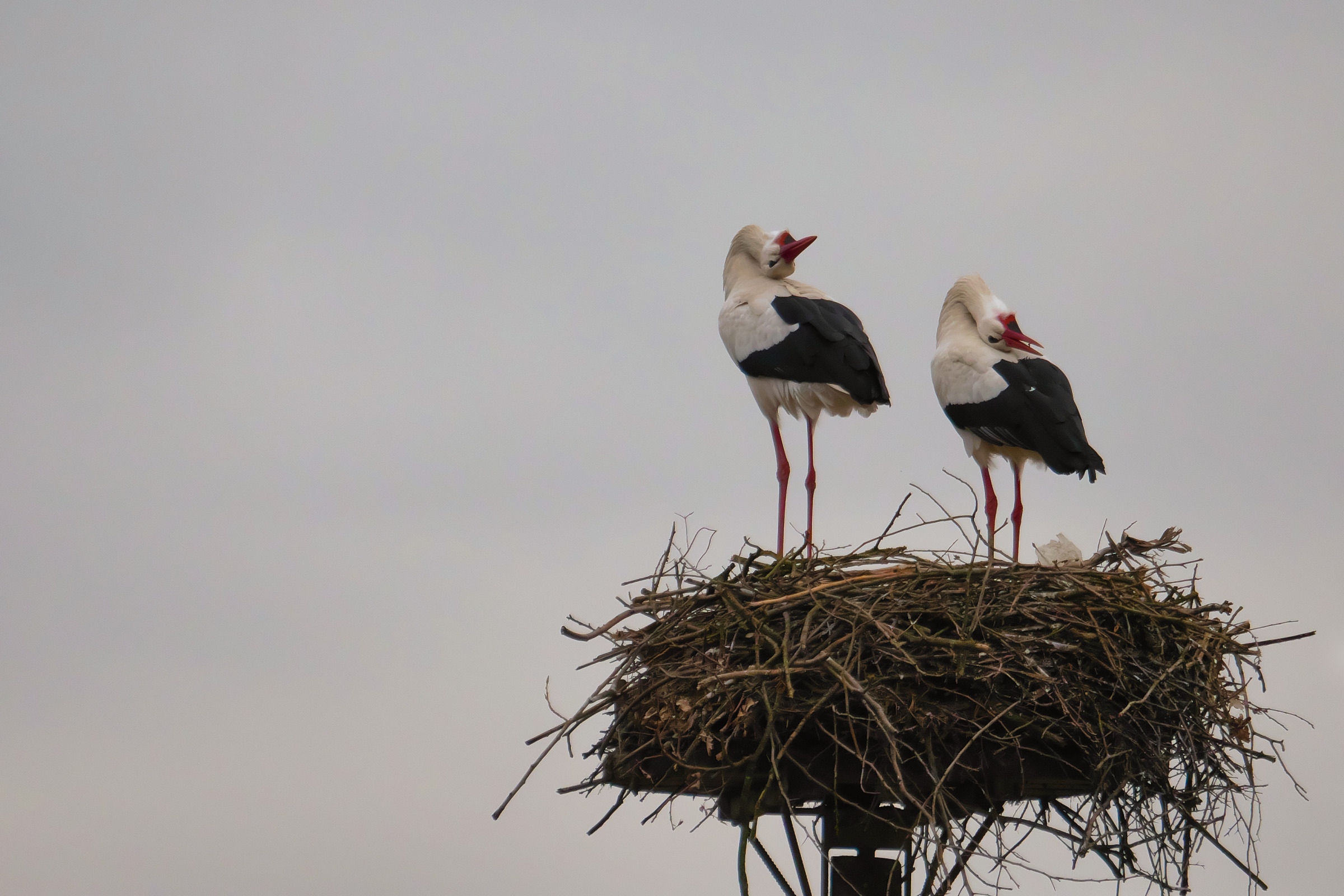 e' tempo di metter sù casa...