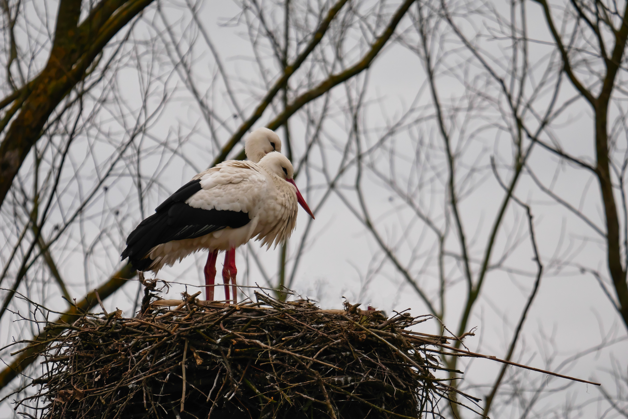 It's time to go home...