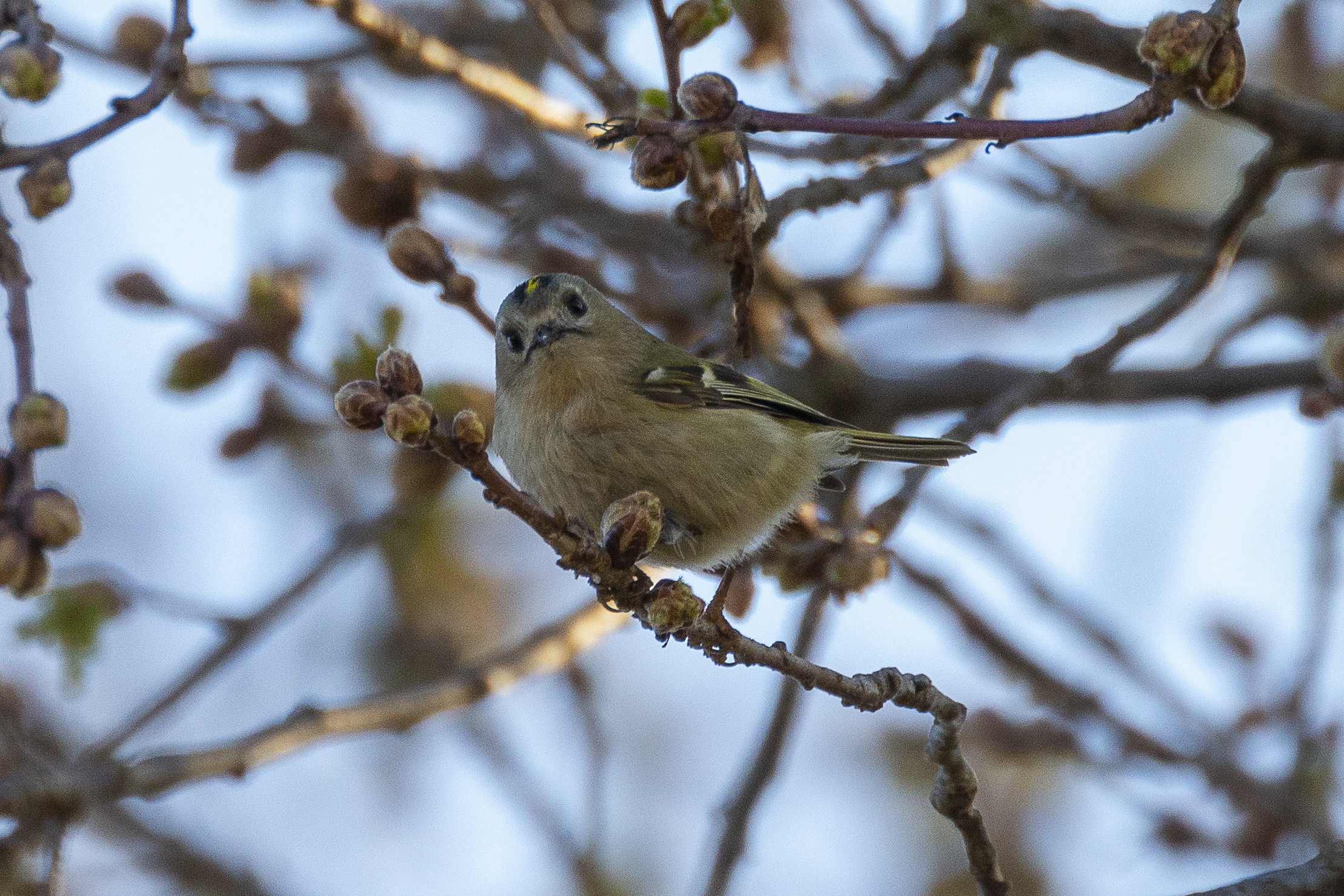 And who am I flashes?