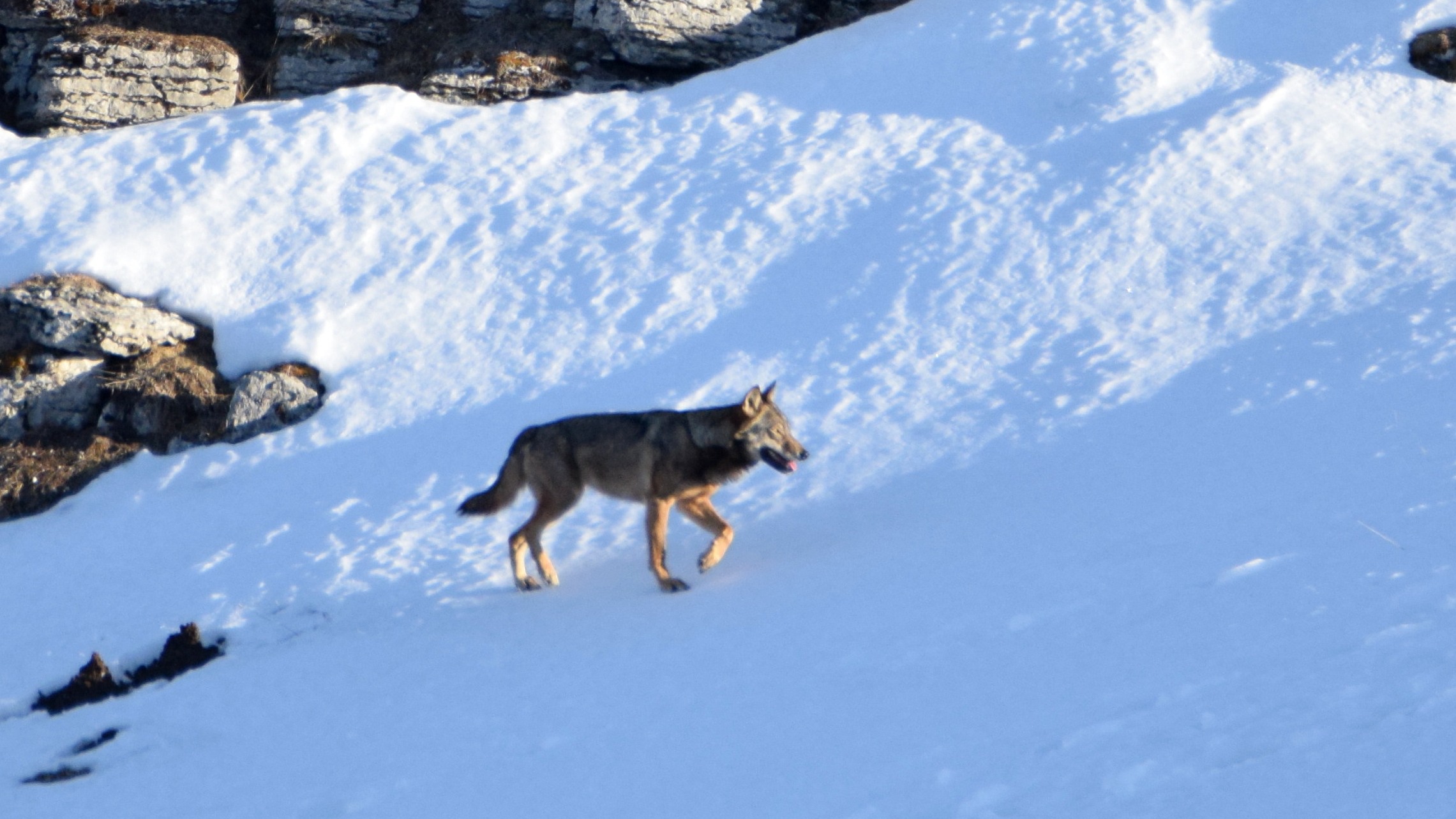 The first meeting is never forgotten