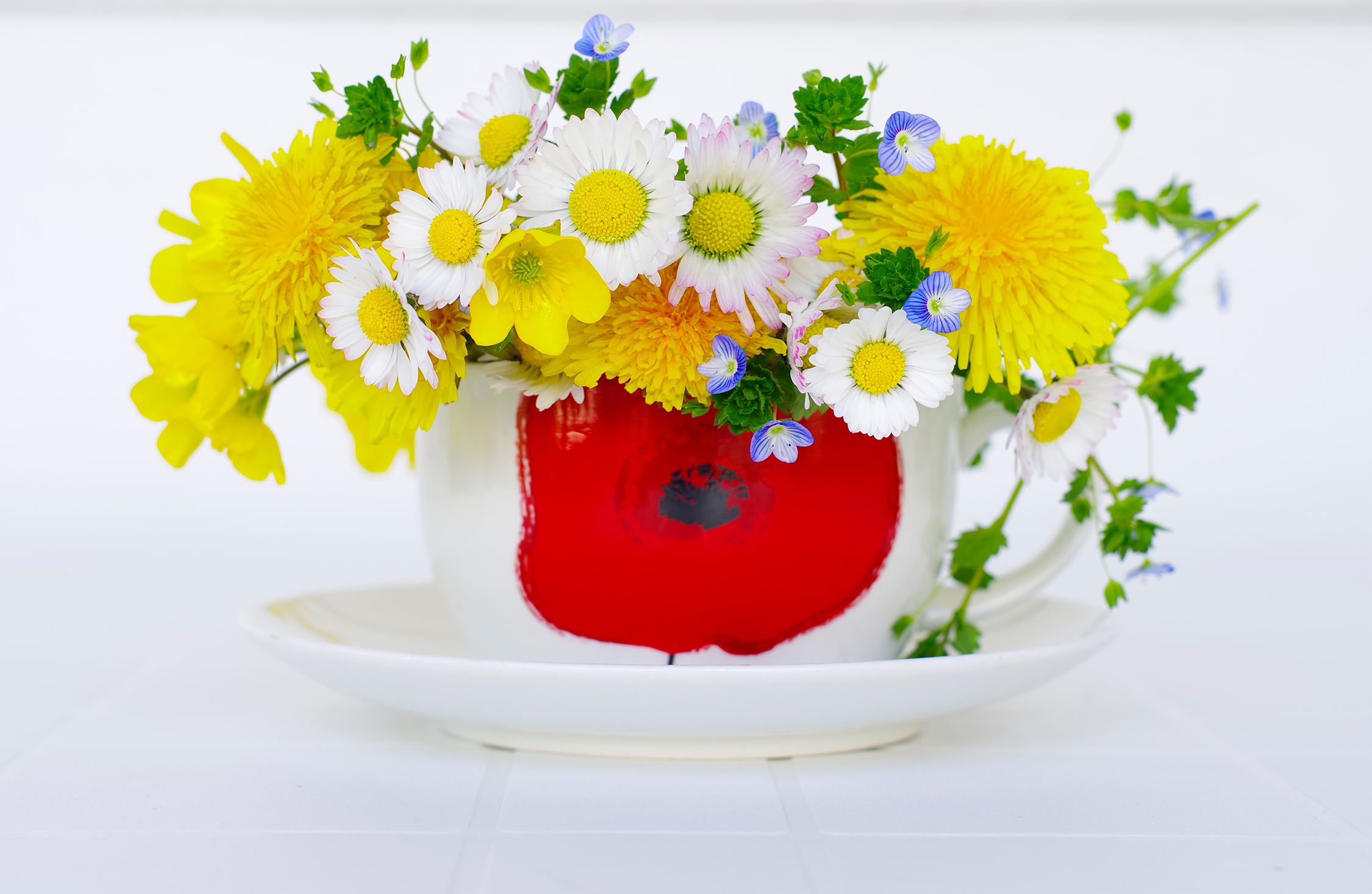 Primavera in High Key