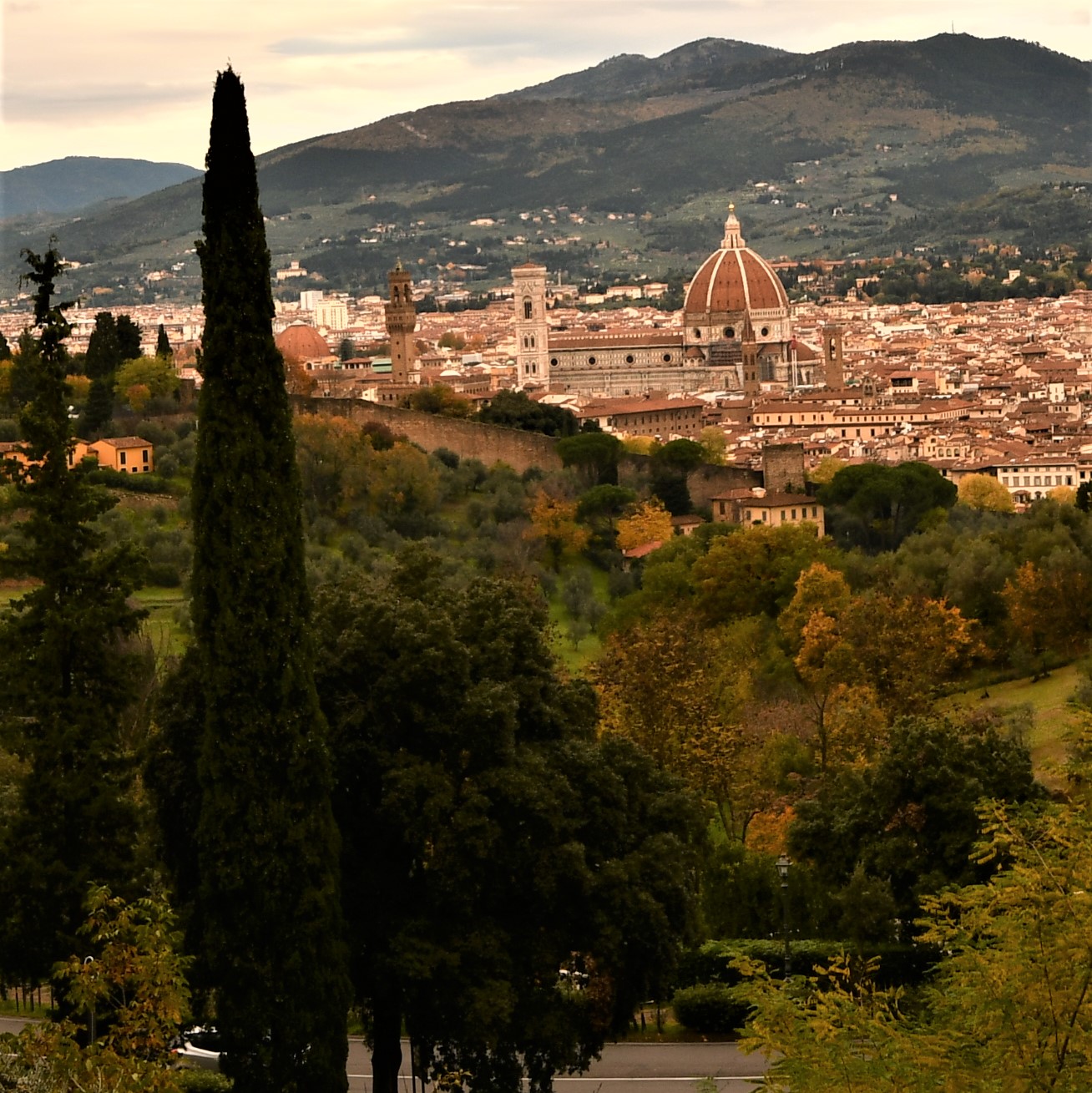 firenze
