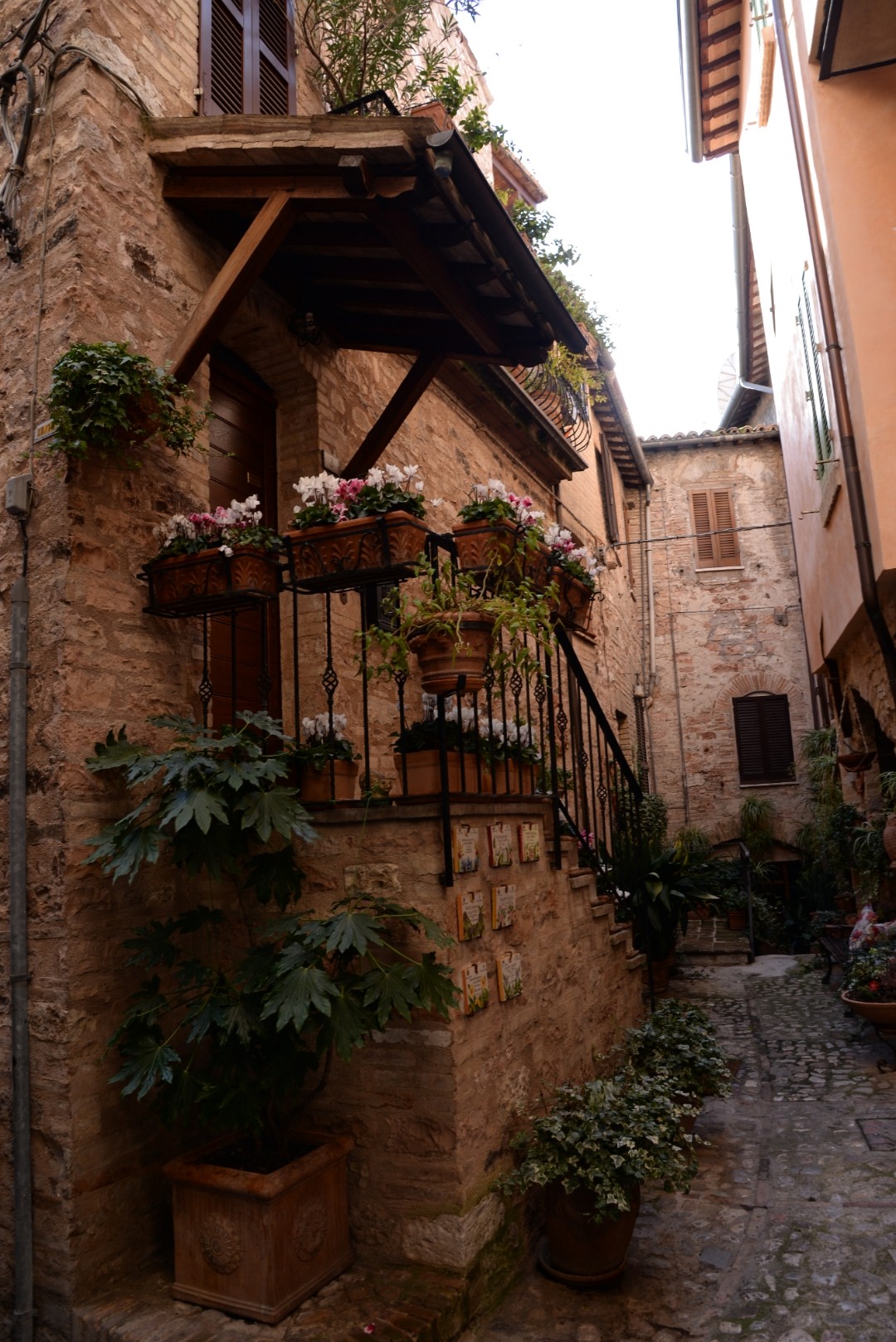 spello centro storico