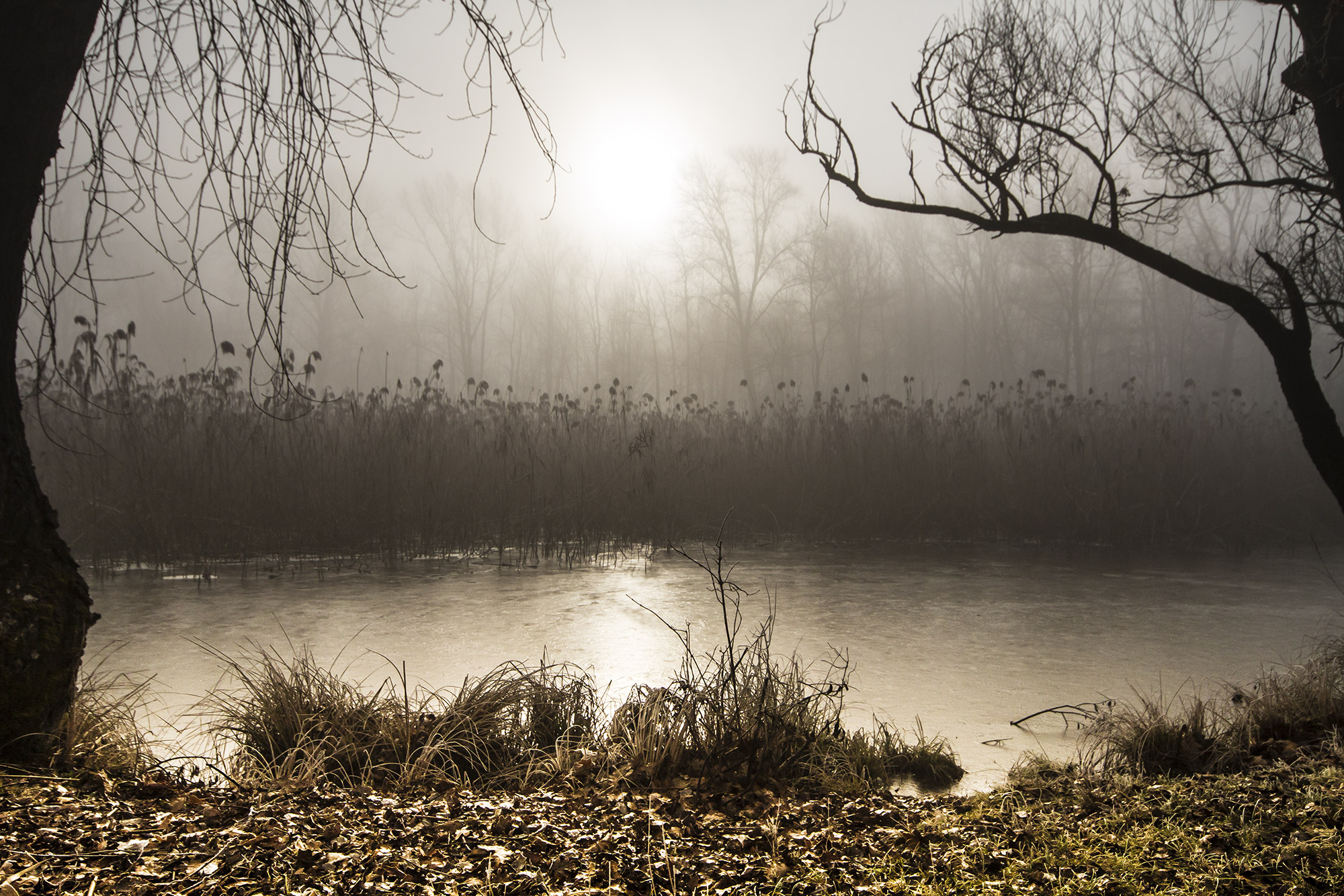 A cold winter morning ....