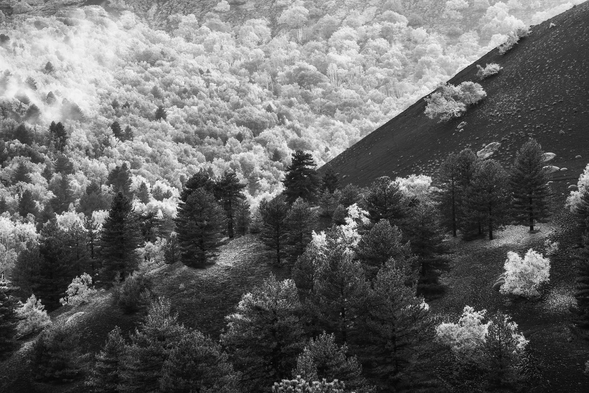 Sartorius Mountains.