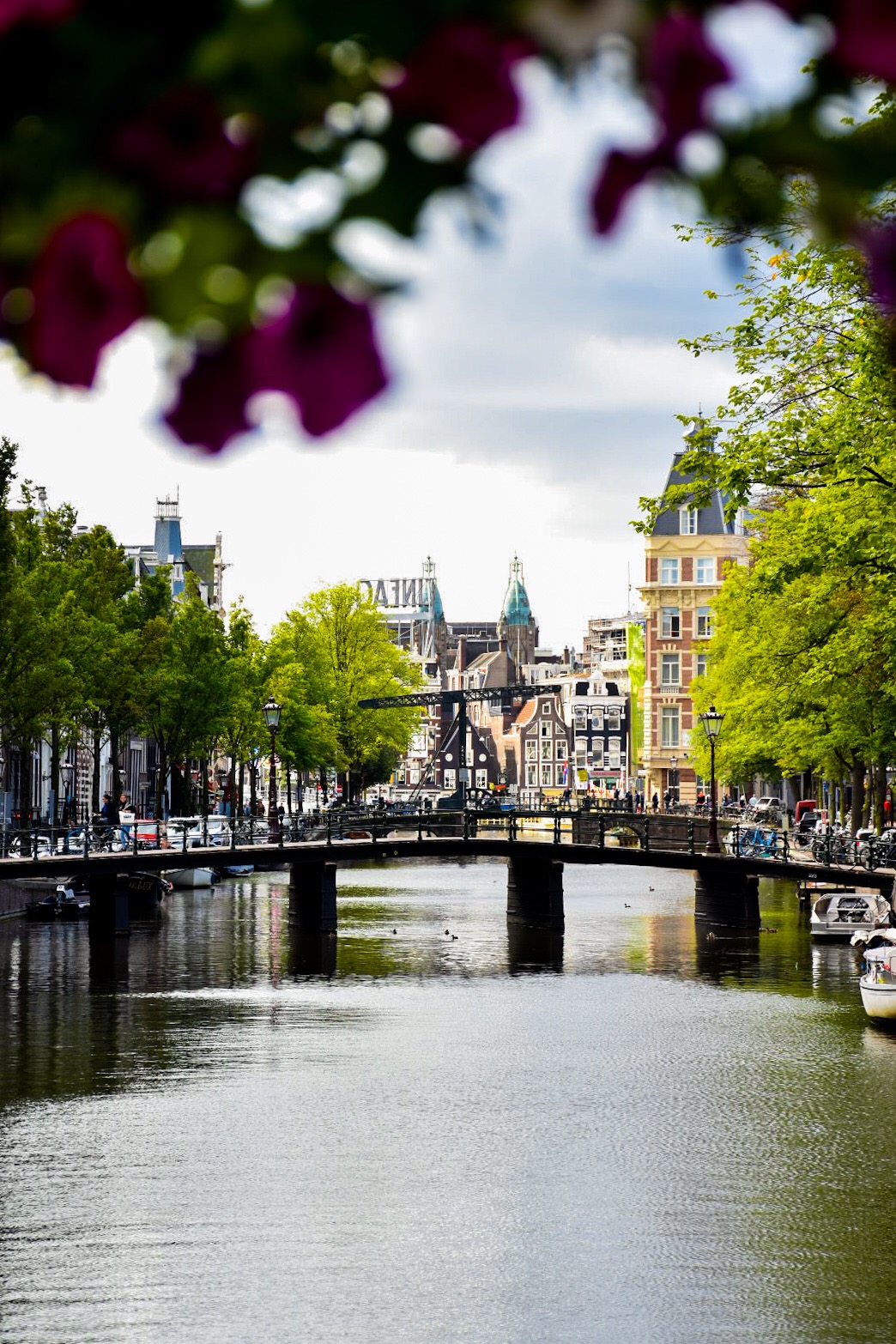 Amsterdam's canals