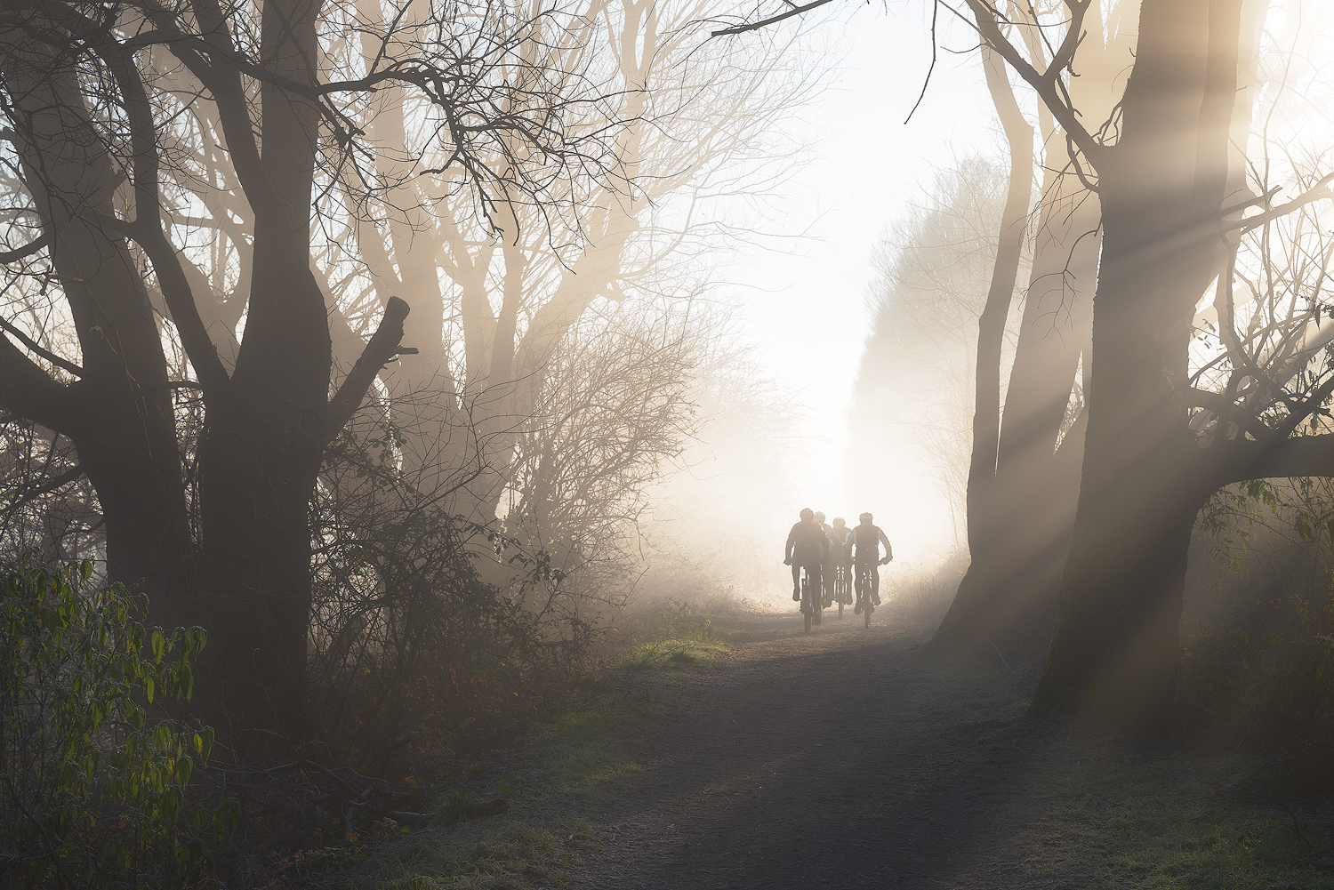 Cyclists along the Adda