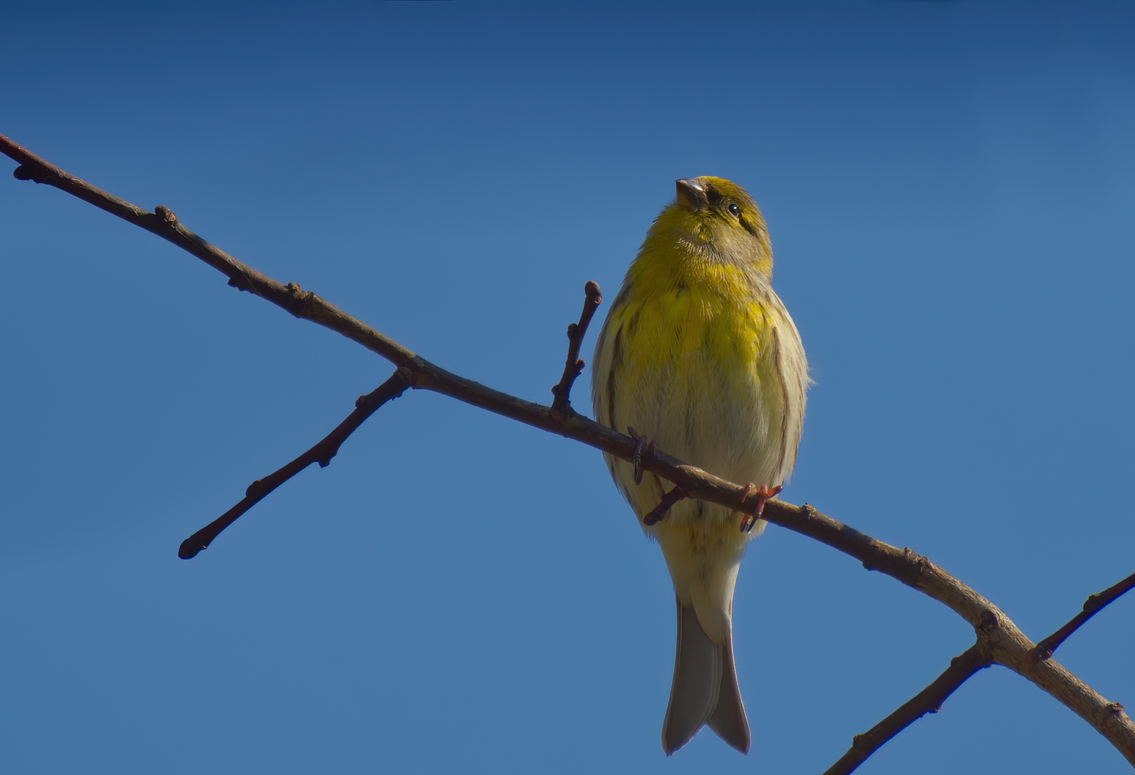 In the garden of my apartment building