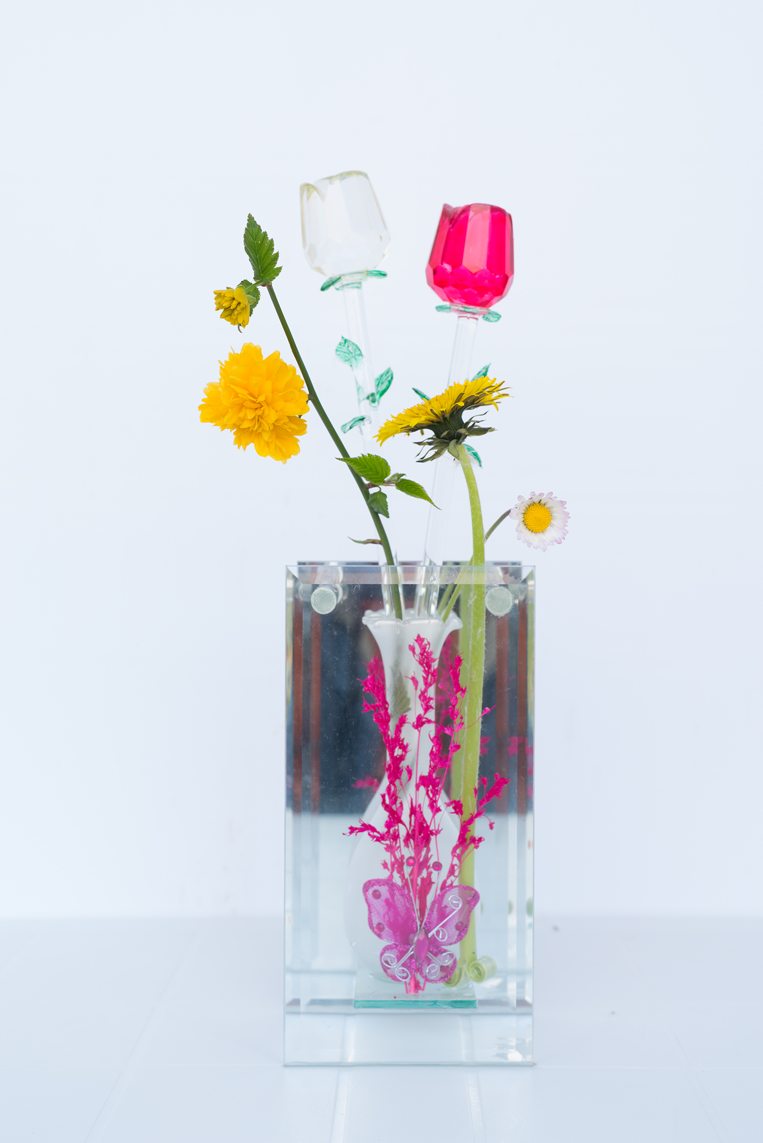 Vero/Falso in High Key