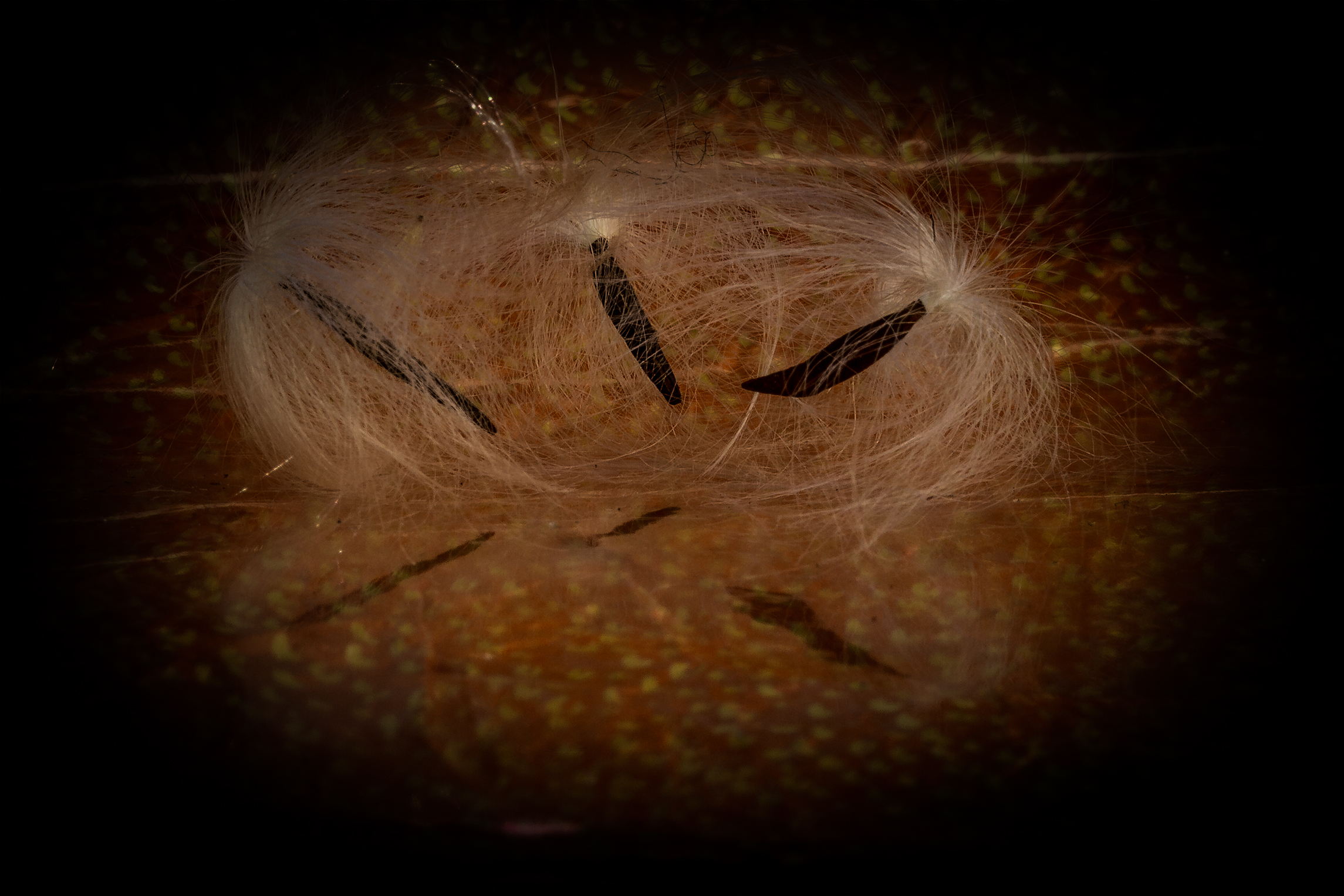 sospesi in un incubo