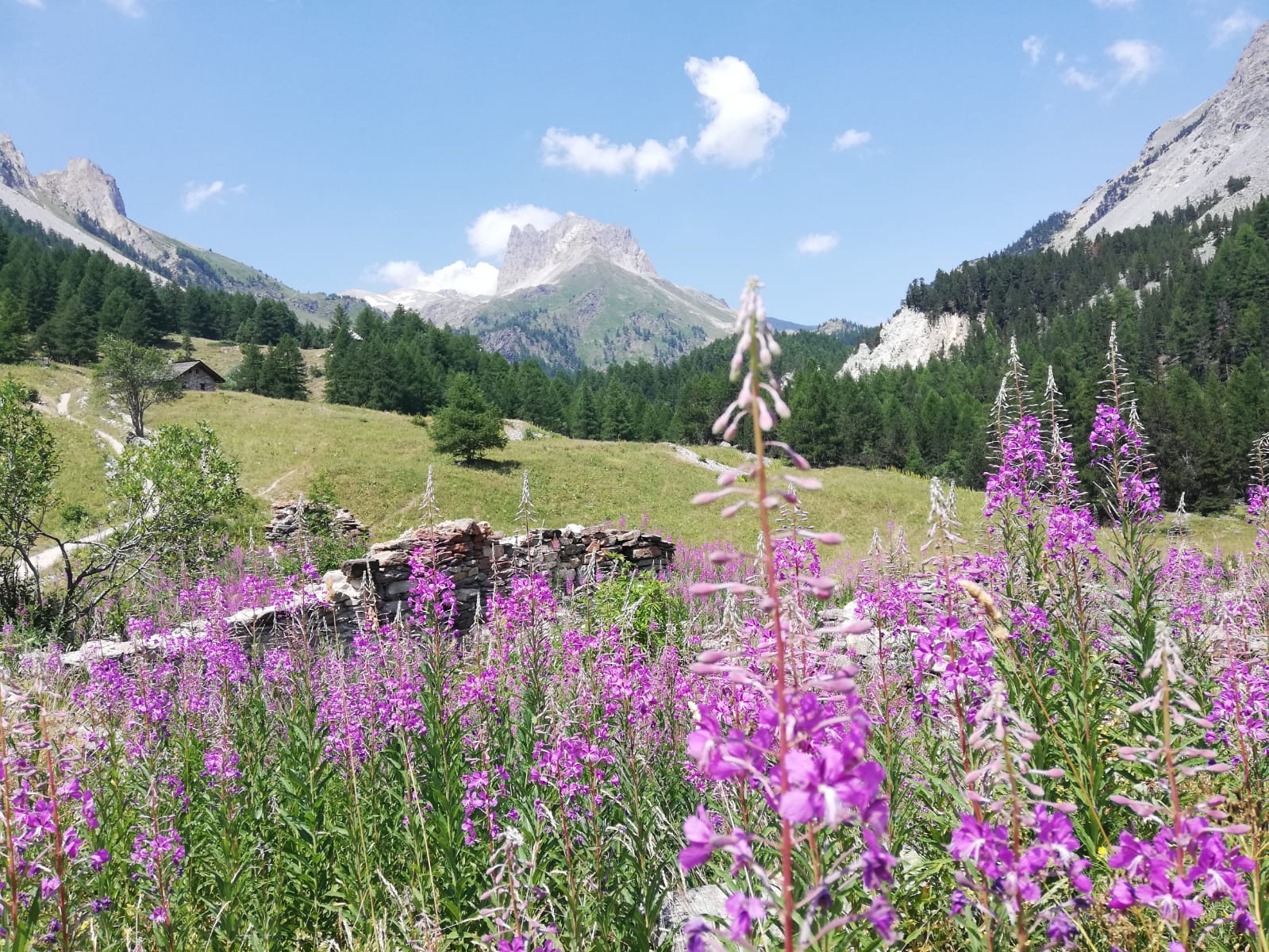 Bardonecchia mountain landscape