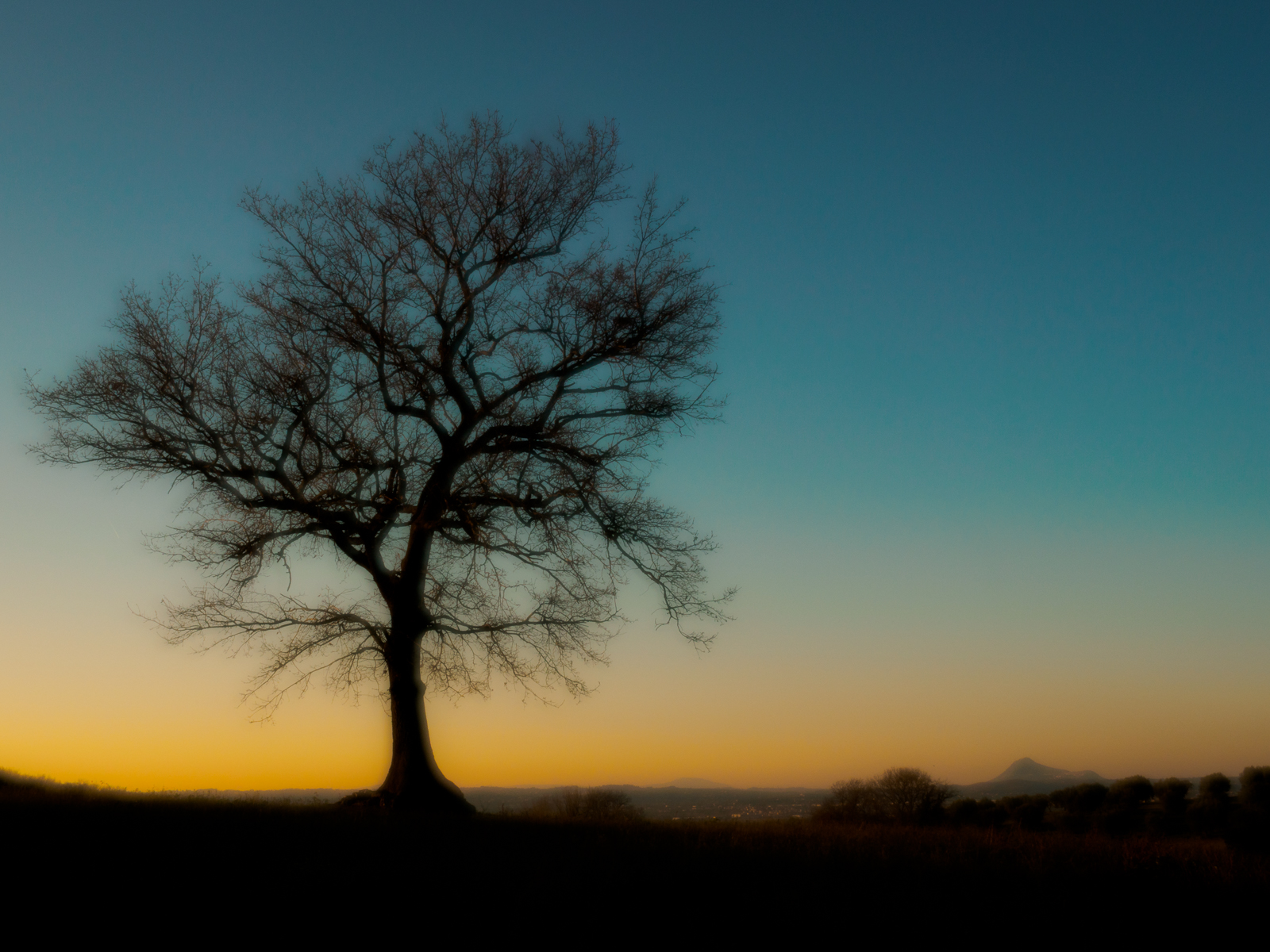 Solitario al tramonto