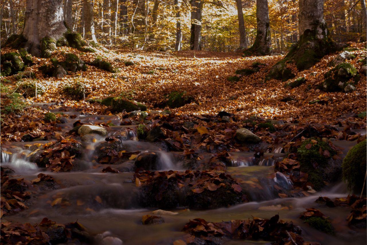 Era un gran silenzio, con qualche Fruscio