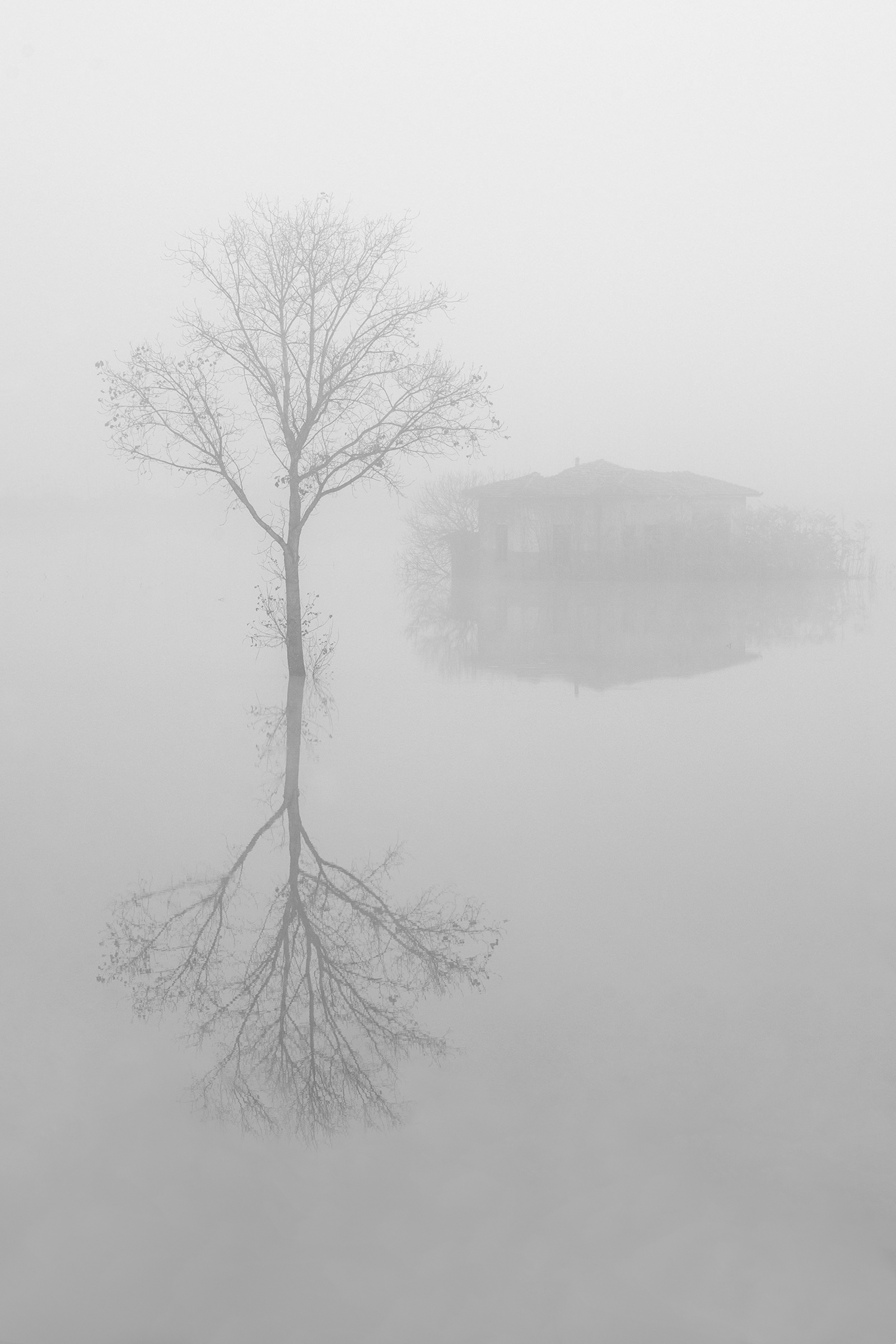 Fog also erases the past (version b/n)