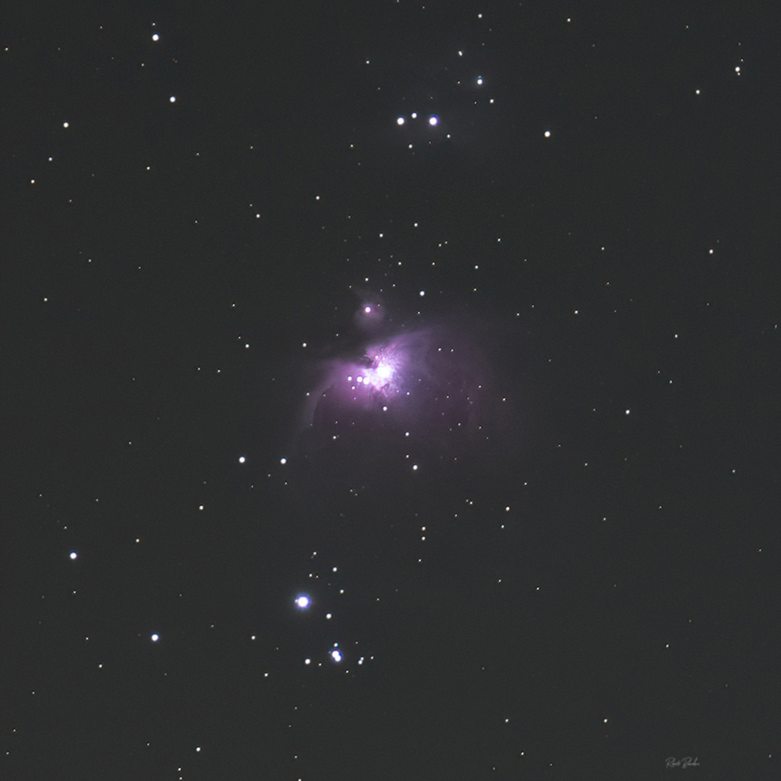 Quarantine shots... m42