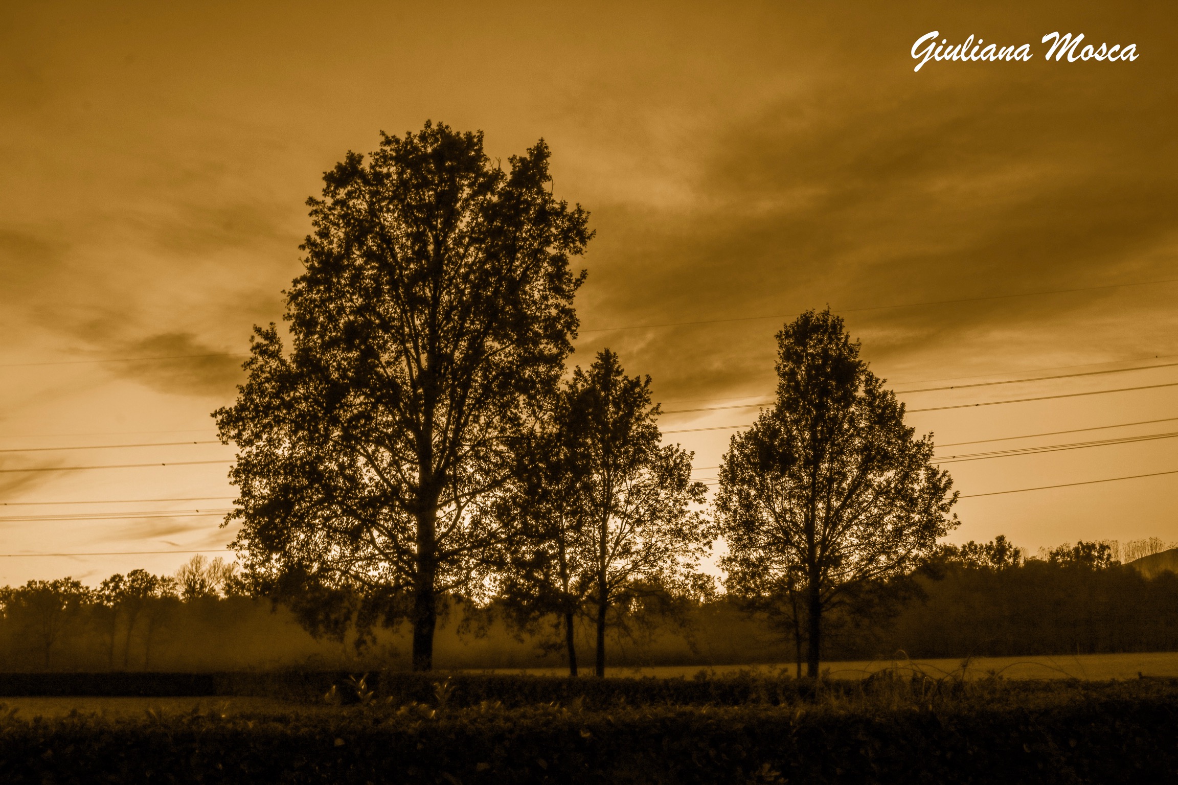 Tramonti in baraggia