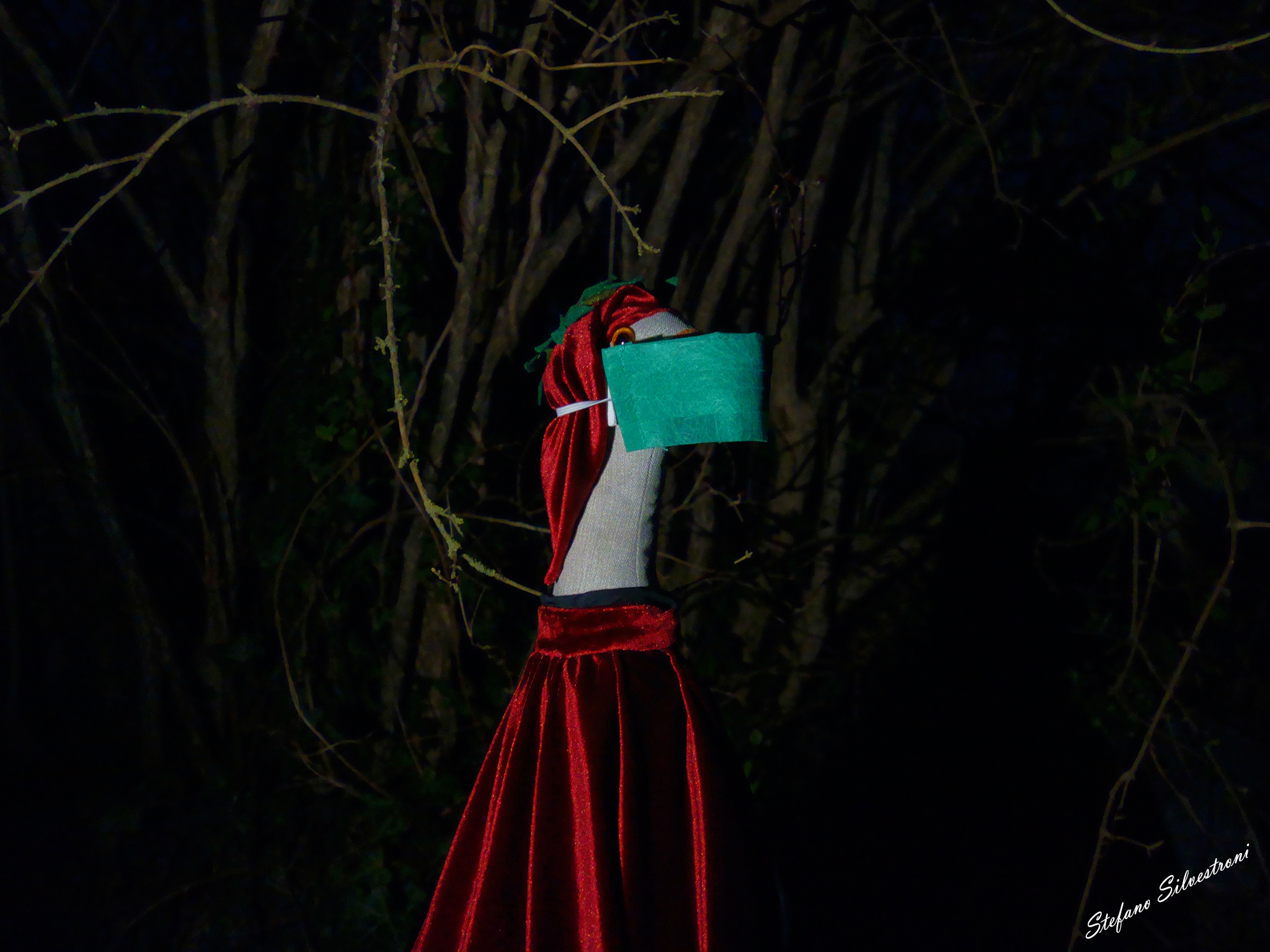 mi ritrovai per una selva oscura...