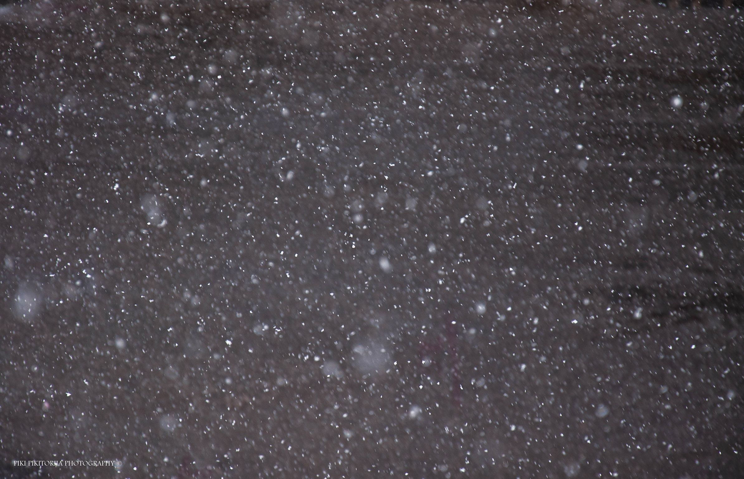 Snow today as ever
