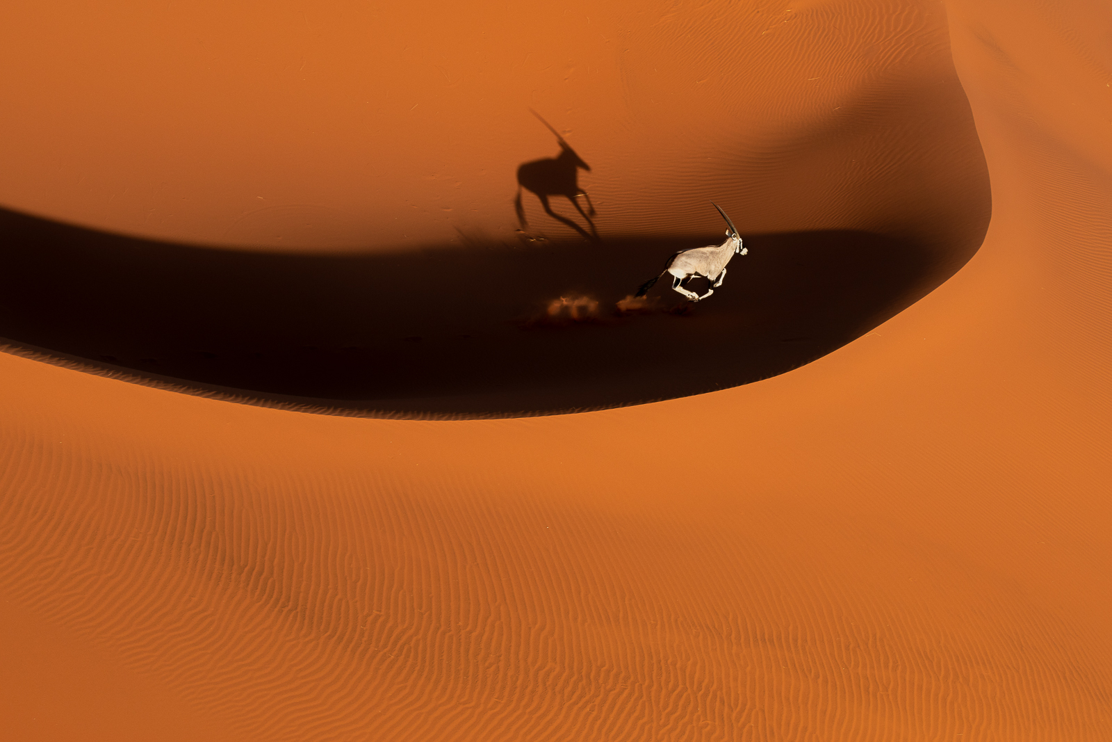 In volo sulle dune rosse