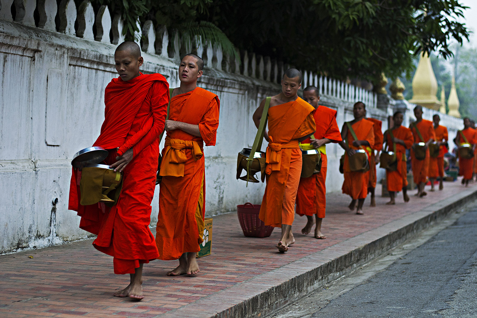 processione mattutina