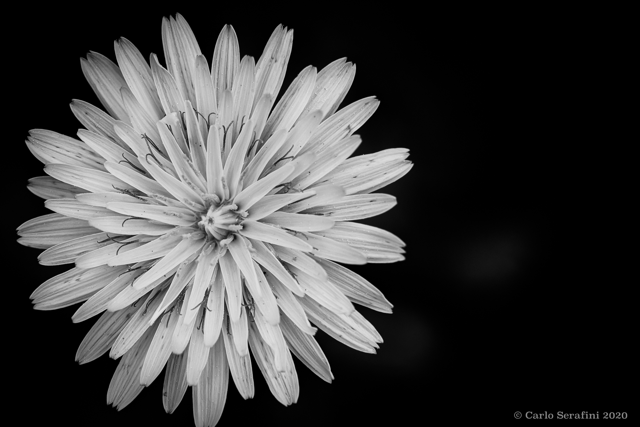 Untitled Photo