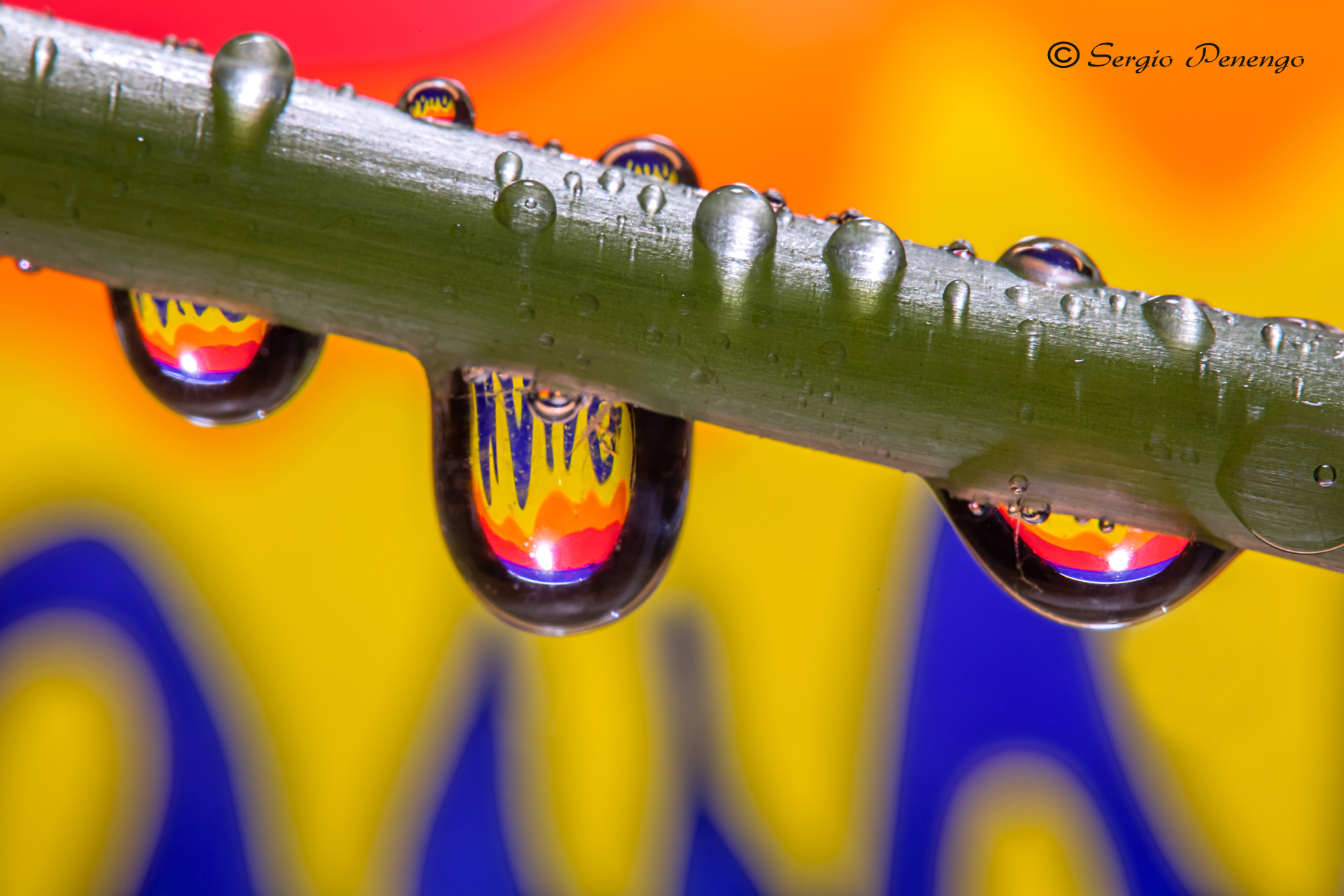 Drops  with reflection