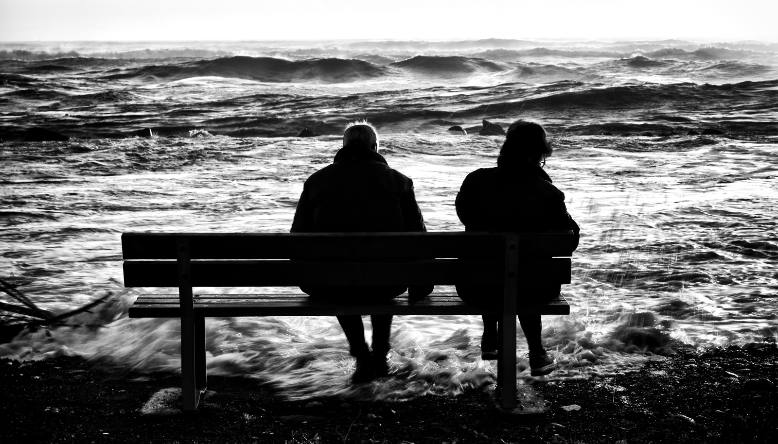 the sea show(the end)