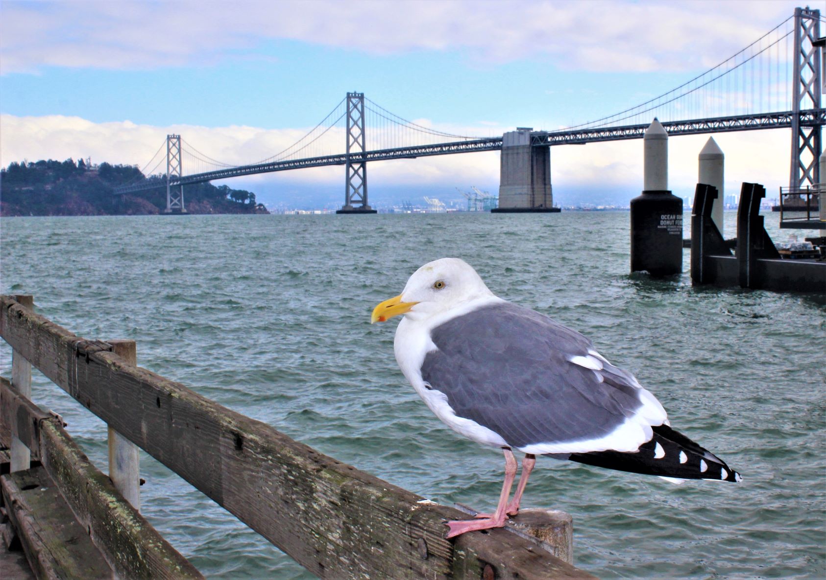 Postcard from San Francisco