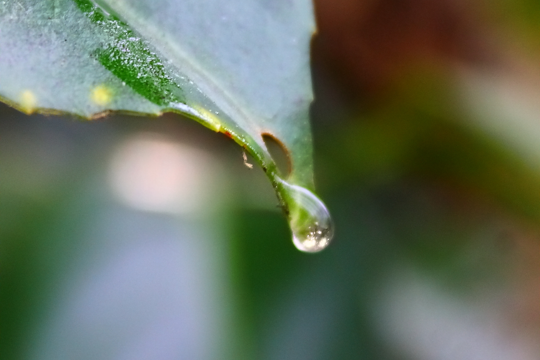 a drop