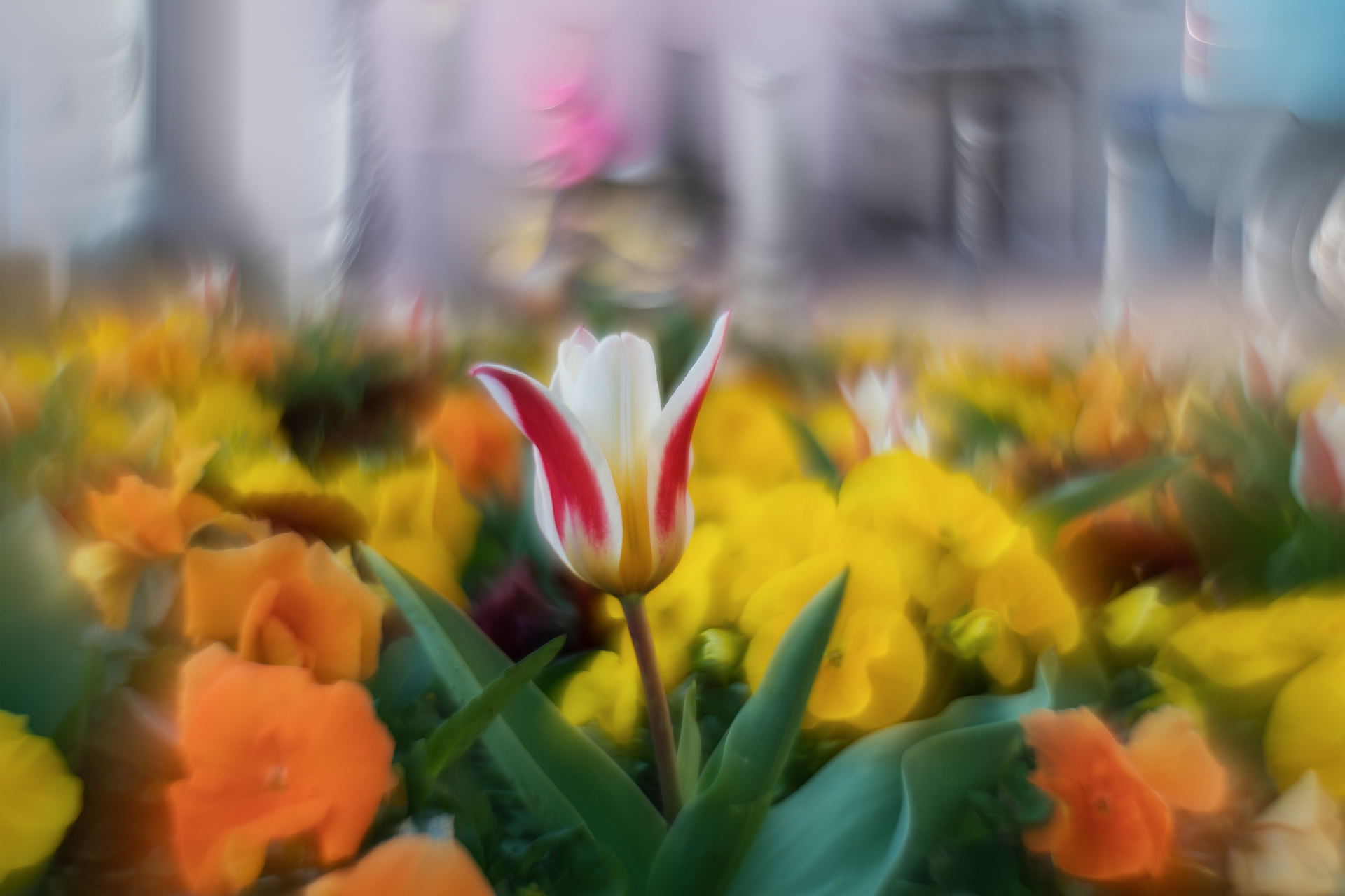 Helios 44-2 reversed
