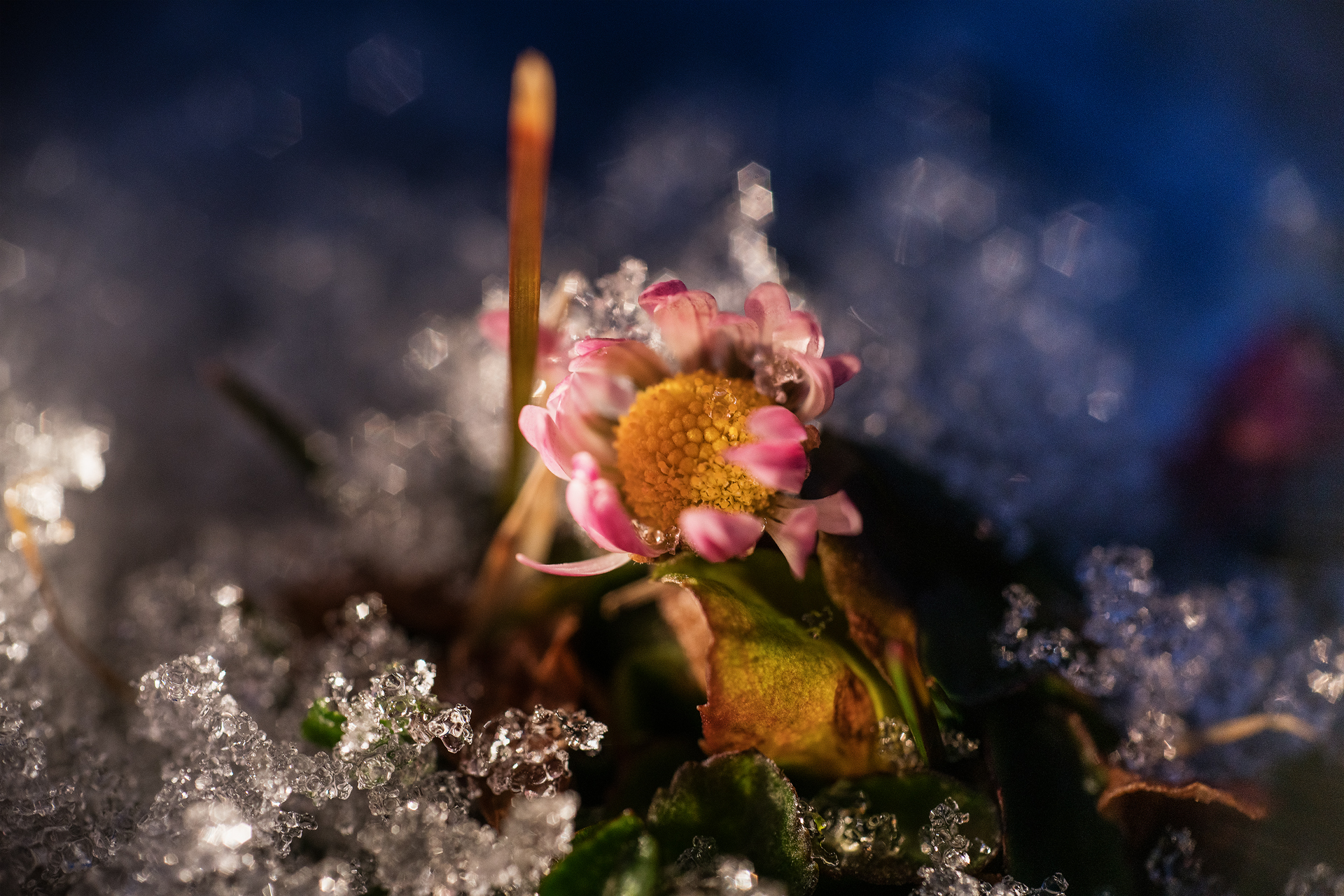 Untitled Photo