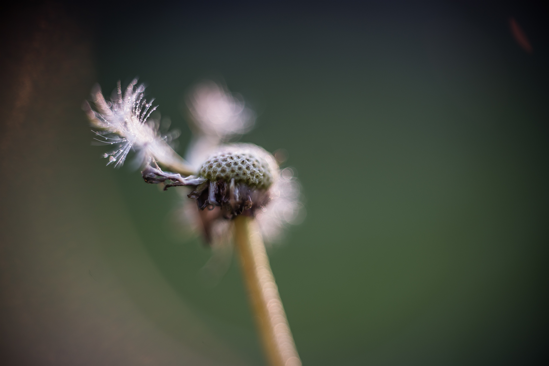 Untitled Photo
