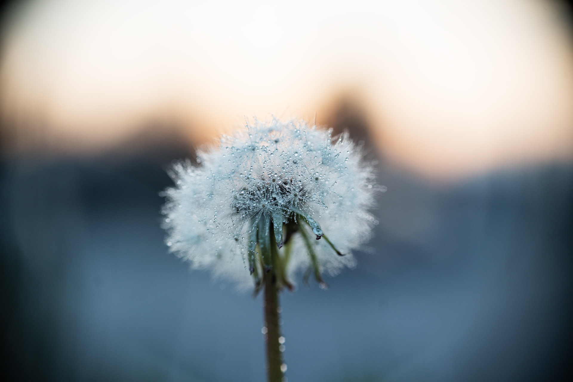 Untitled Photo