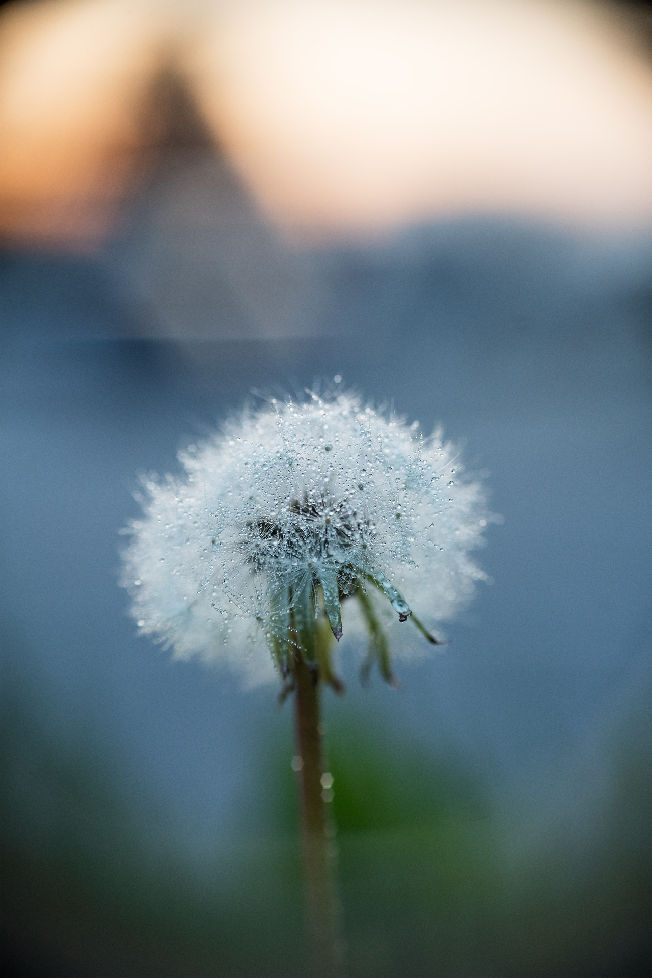 Untitled Photo