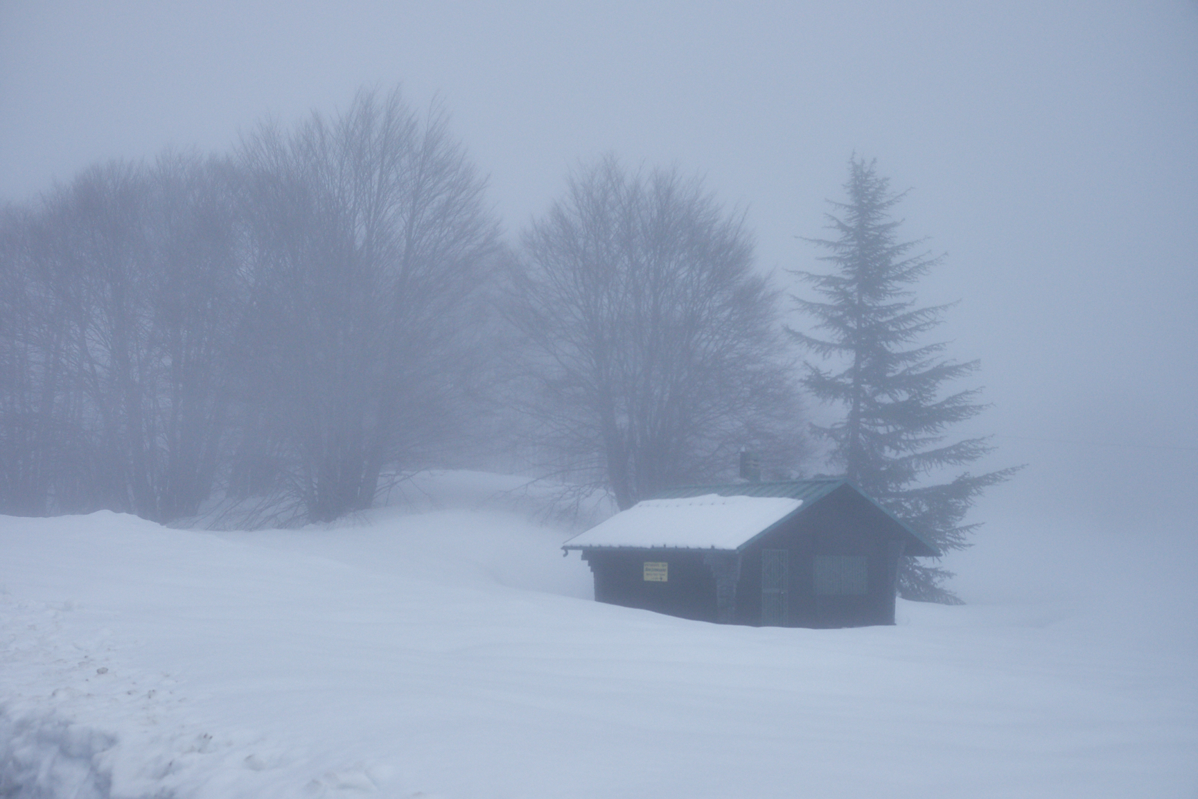 Passo S. Leonardo. Ricordi