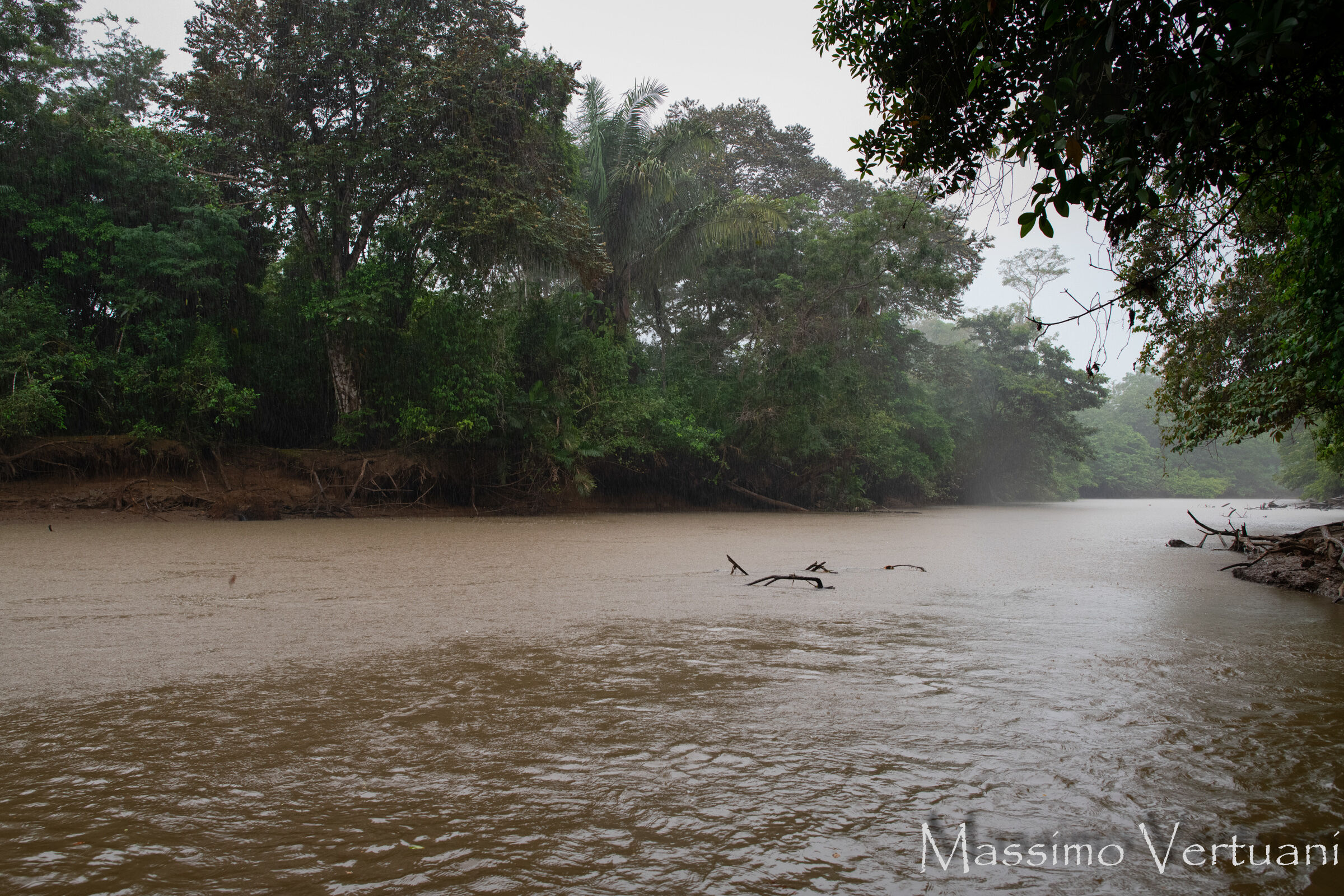 Cano Negro (Costarica)