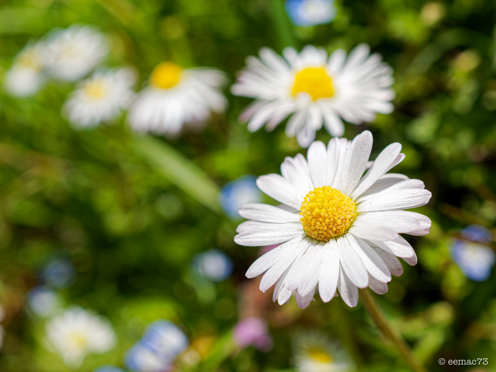 Despite everything, spring has arrived...