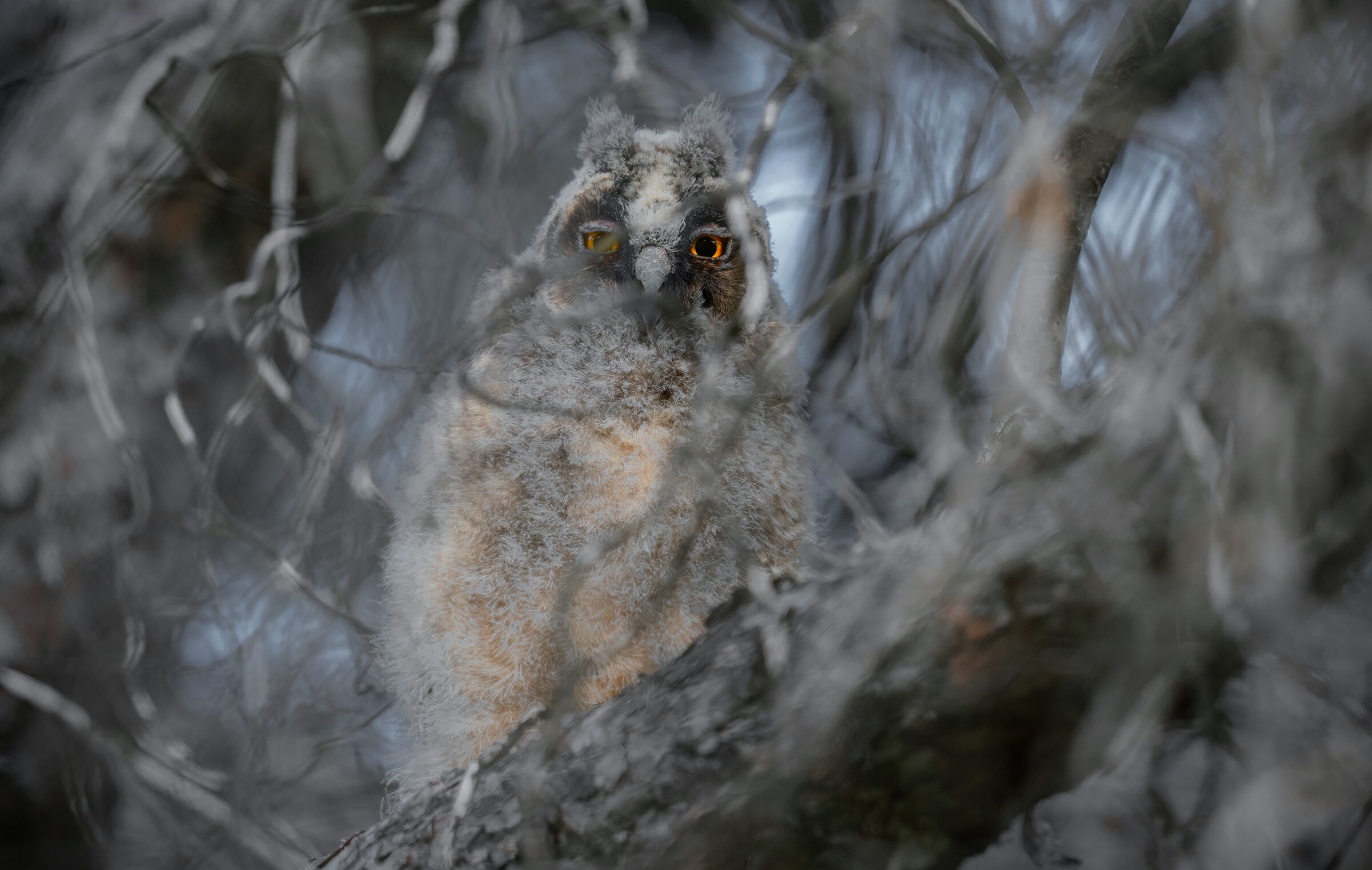 ora mi vedi, ora non lo fai