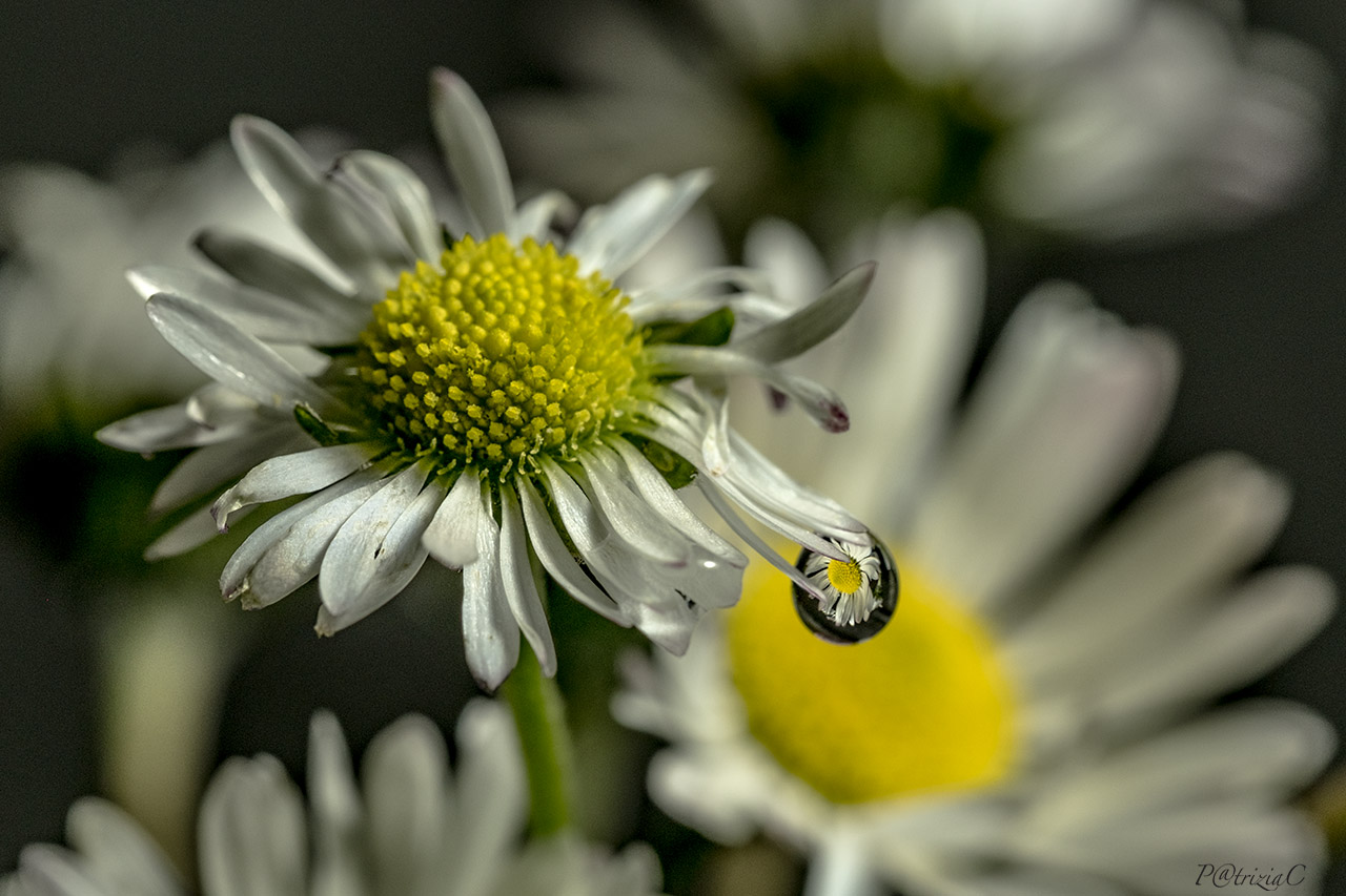 __la goccia che fa ...__