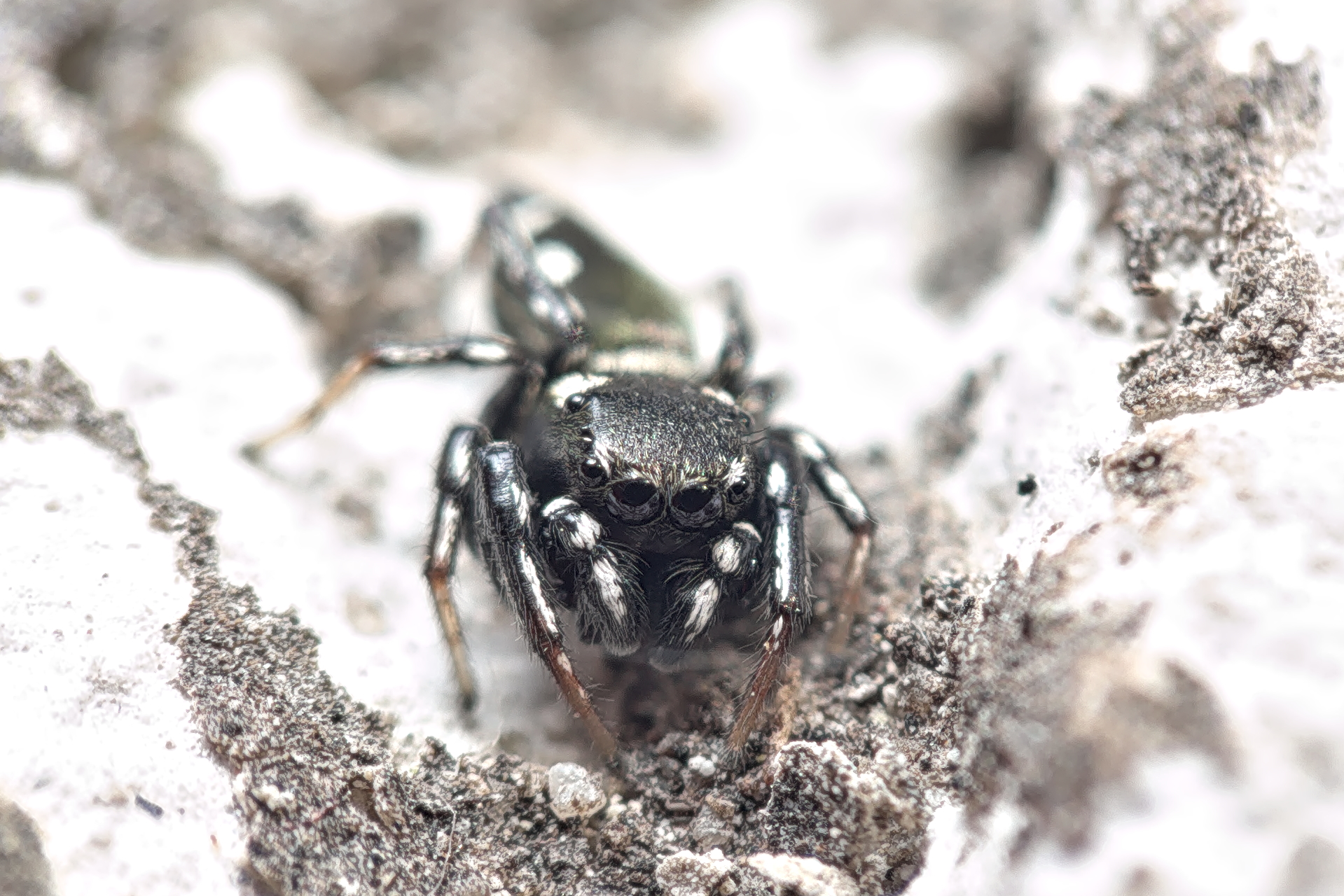 Pentax k-70 + 18-55 kit