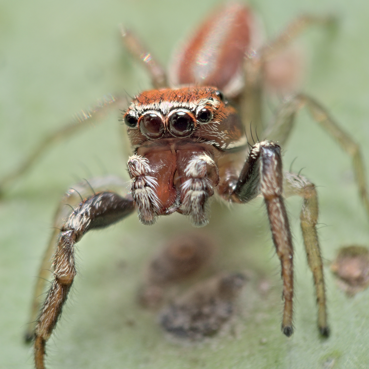 Pentax k-70 + 18-55 kit