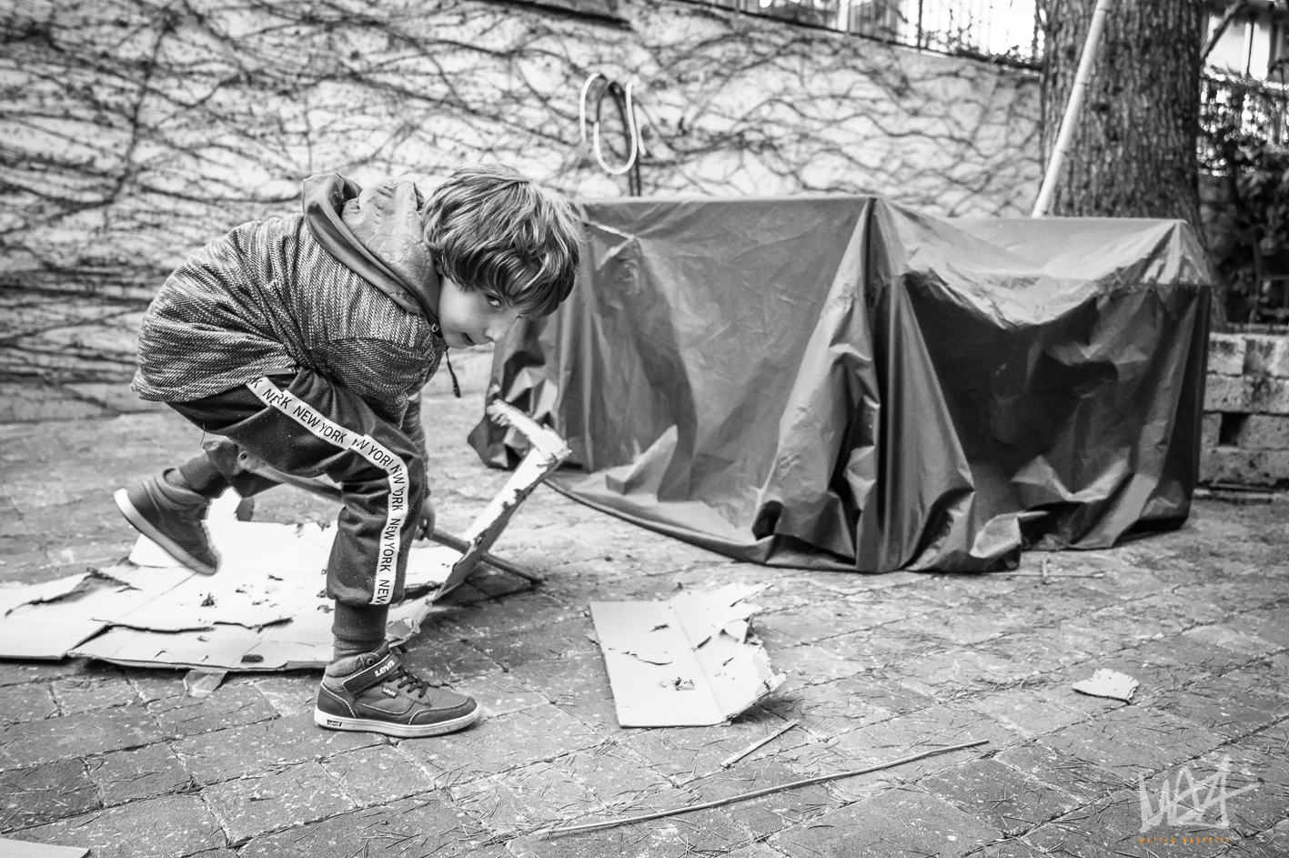 Sfogarsi in quarantena