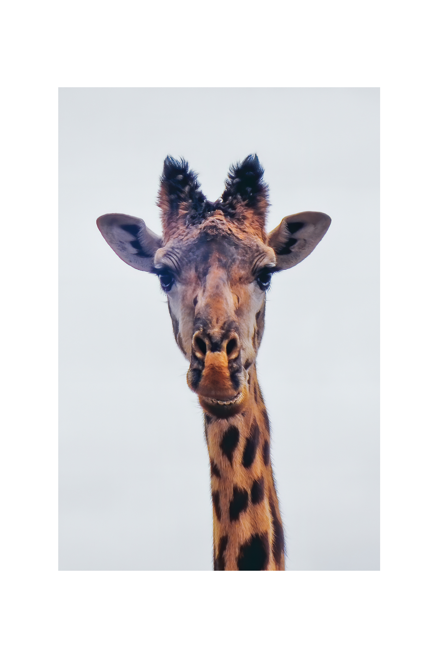 Fai un bel sorriso...