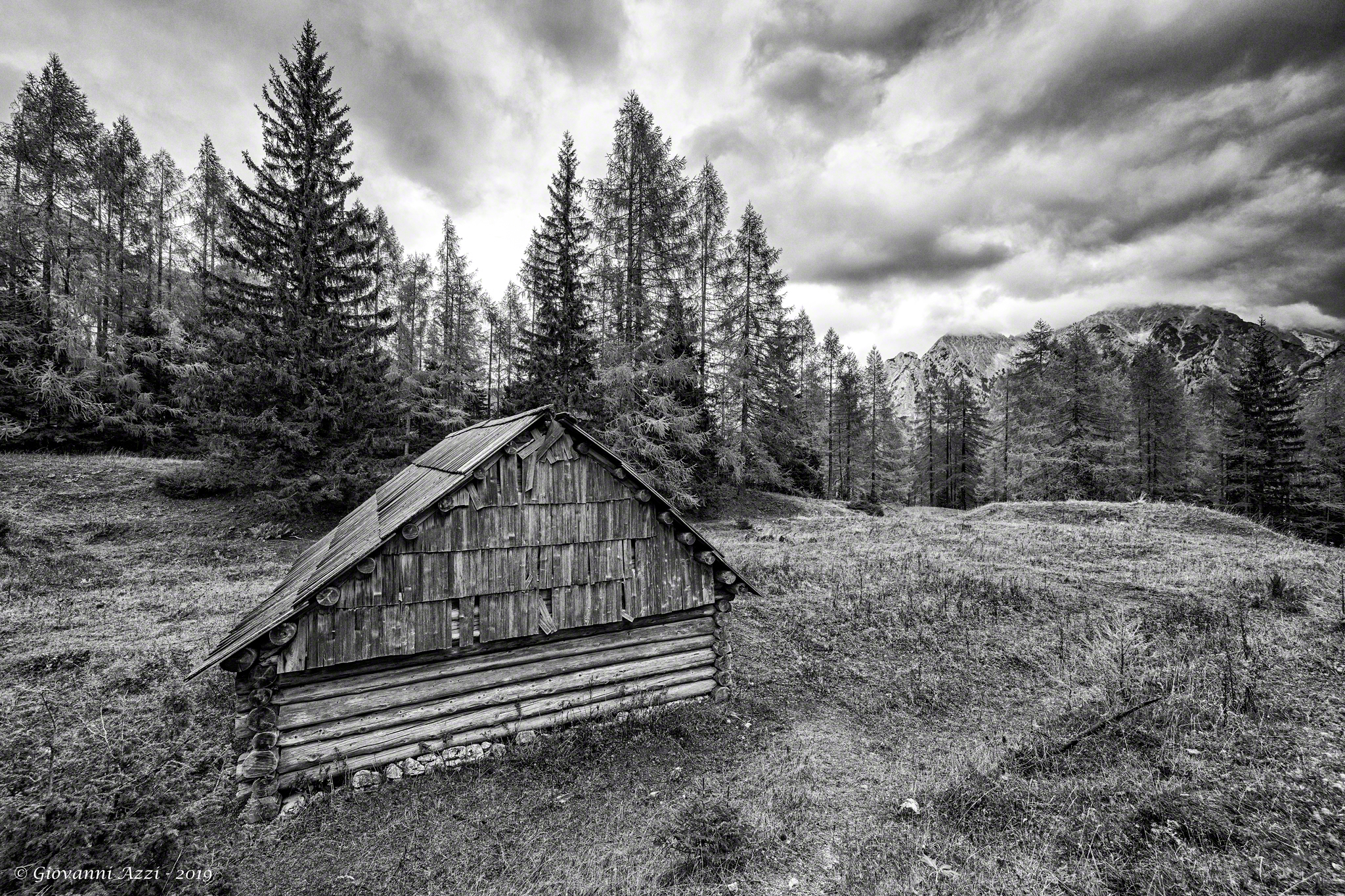 Abbandono (Versione Bianco e Nero)