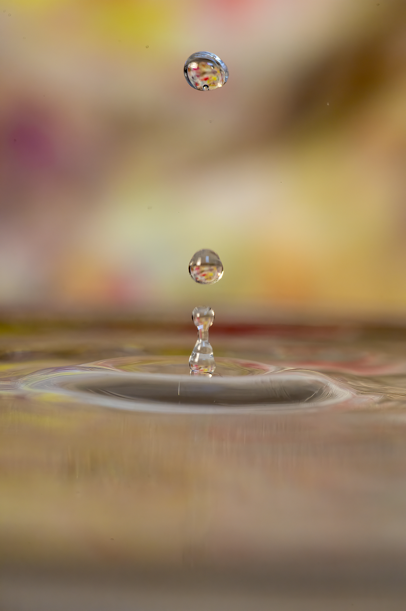 Untitled Photo