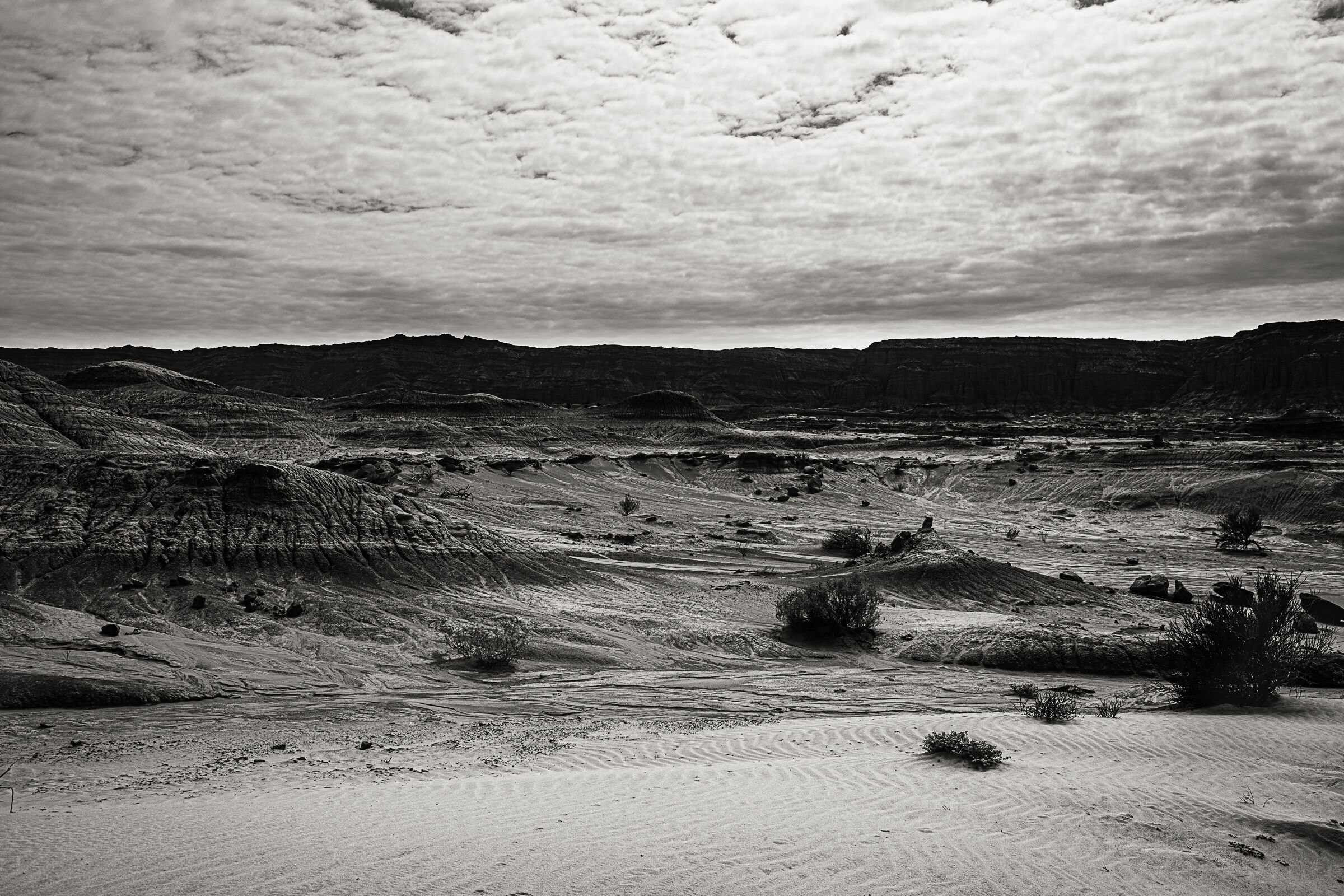 La valle della luna 2 - Ischigualasto (Rep. Argentina)